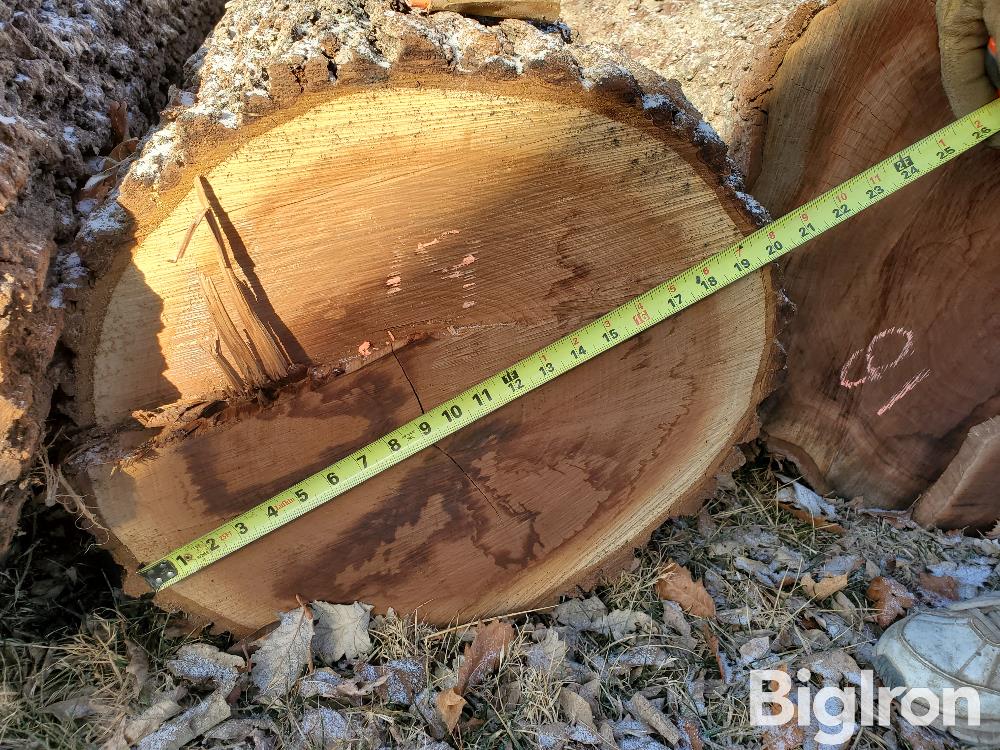 Veneer Grade Walnut Logs BigIron Auctions