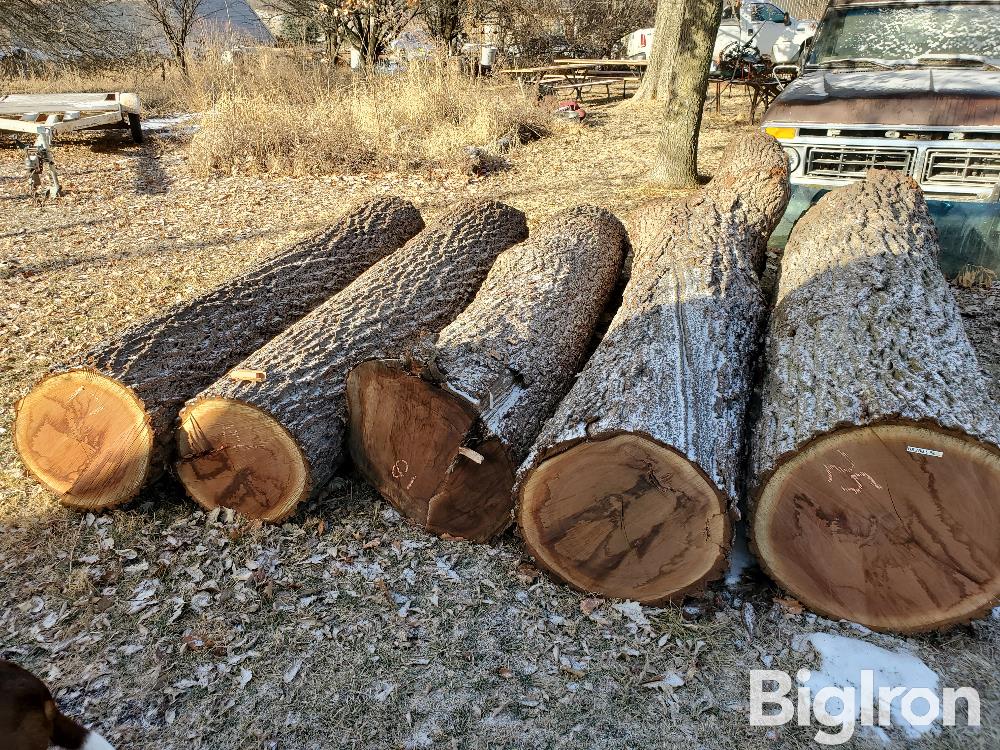 Veneer Grade Walnut Logs BigIron Auctions