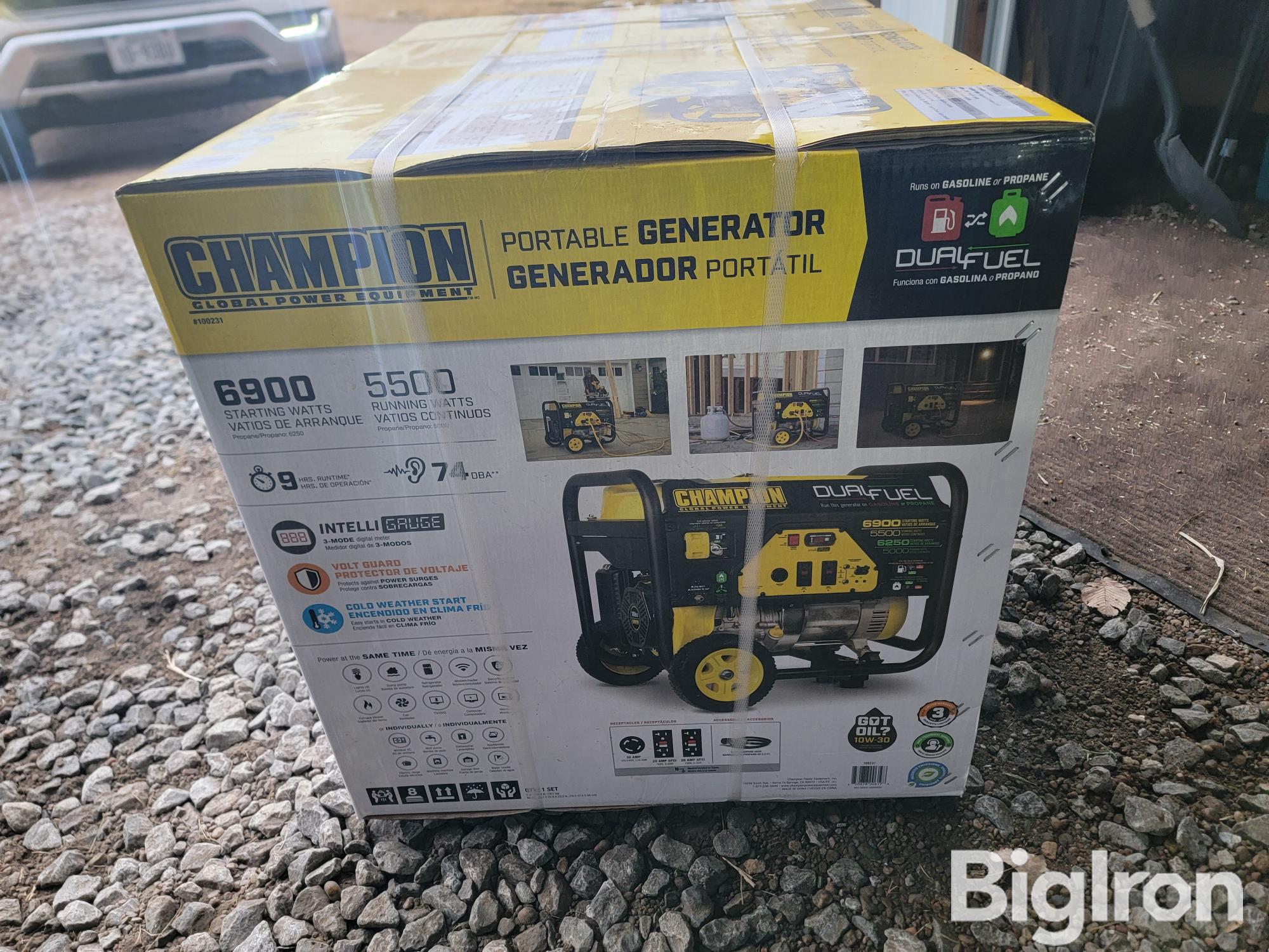 Champion Dual Fuel 6900 Watt Generator BigIron Auctions