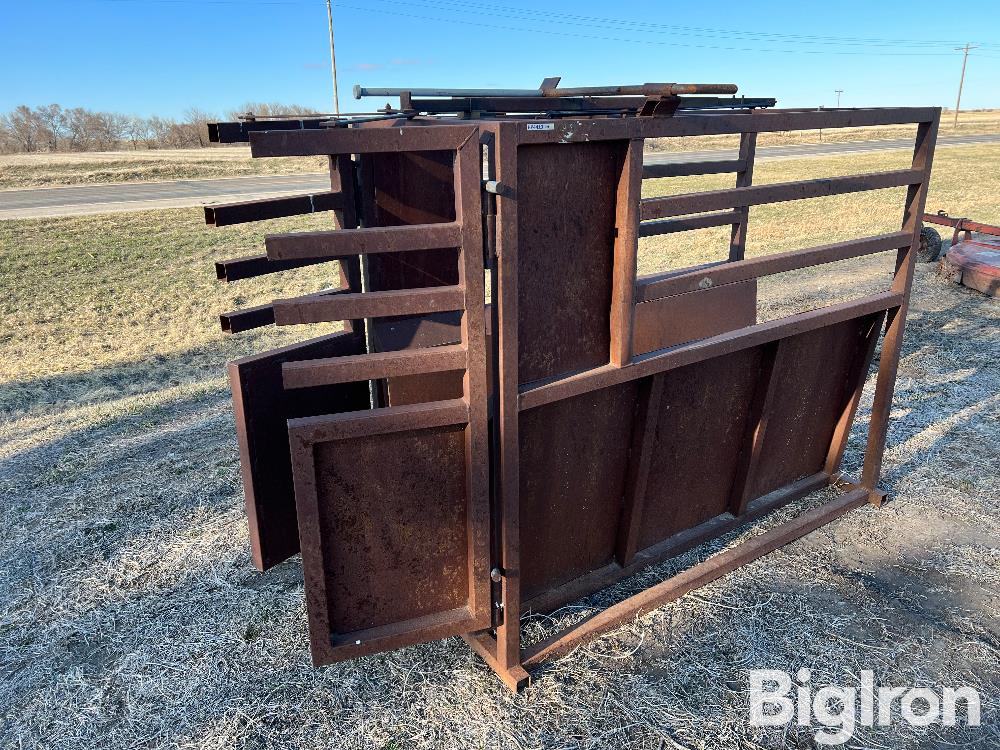 Roping Chute BigIron Auctions