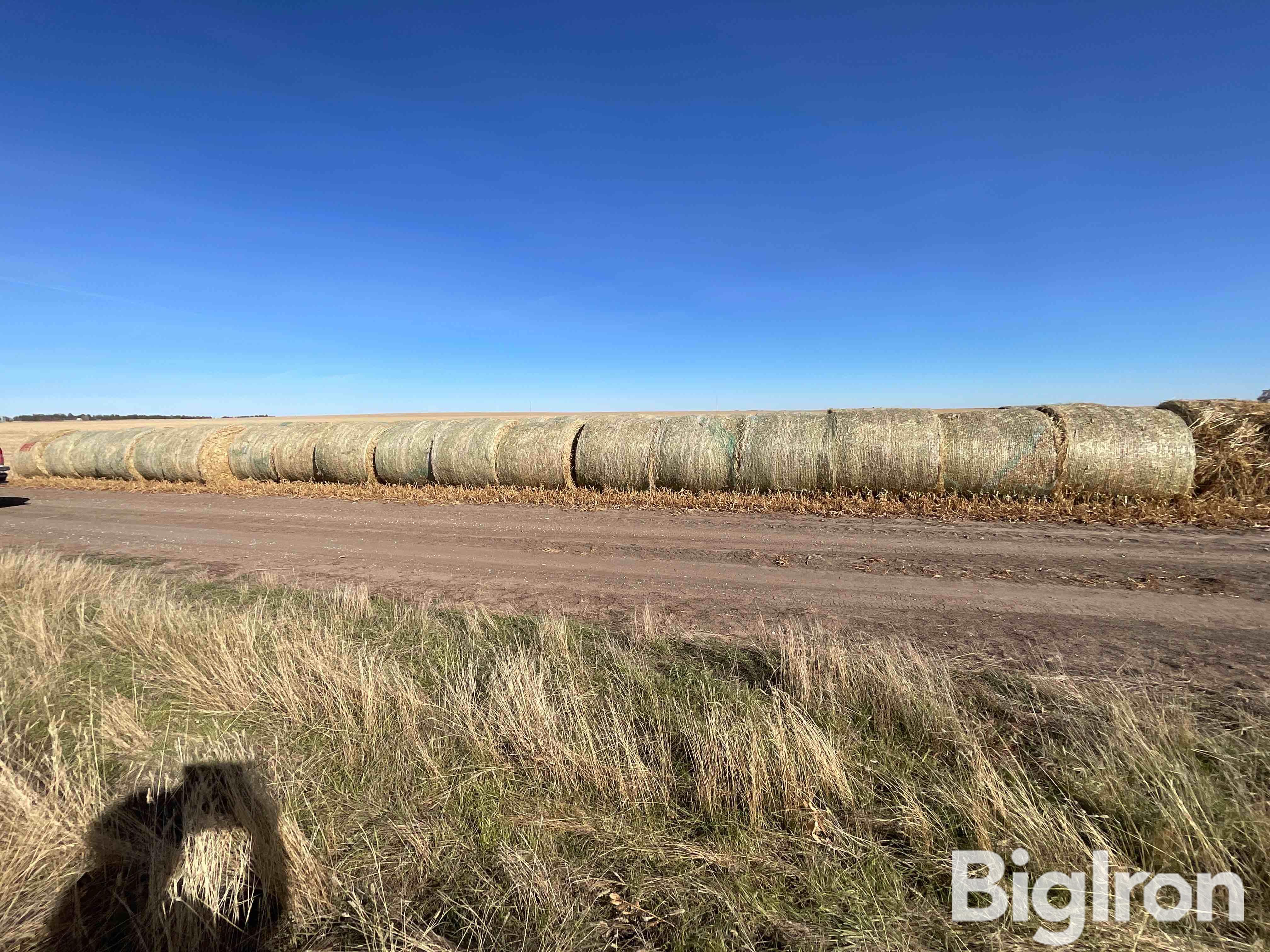 Millet (Forage) Hay Big Round Bales BigIron Auctions