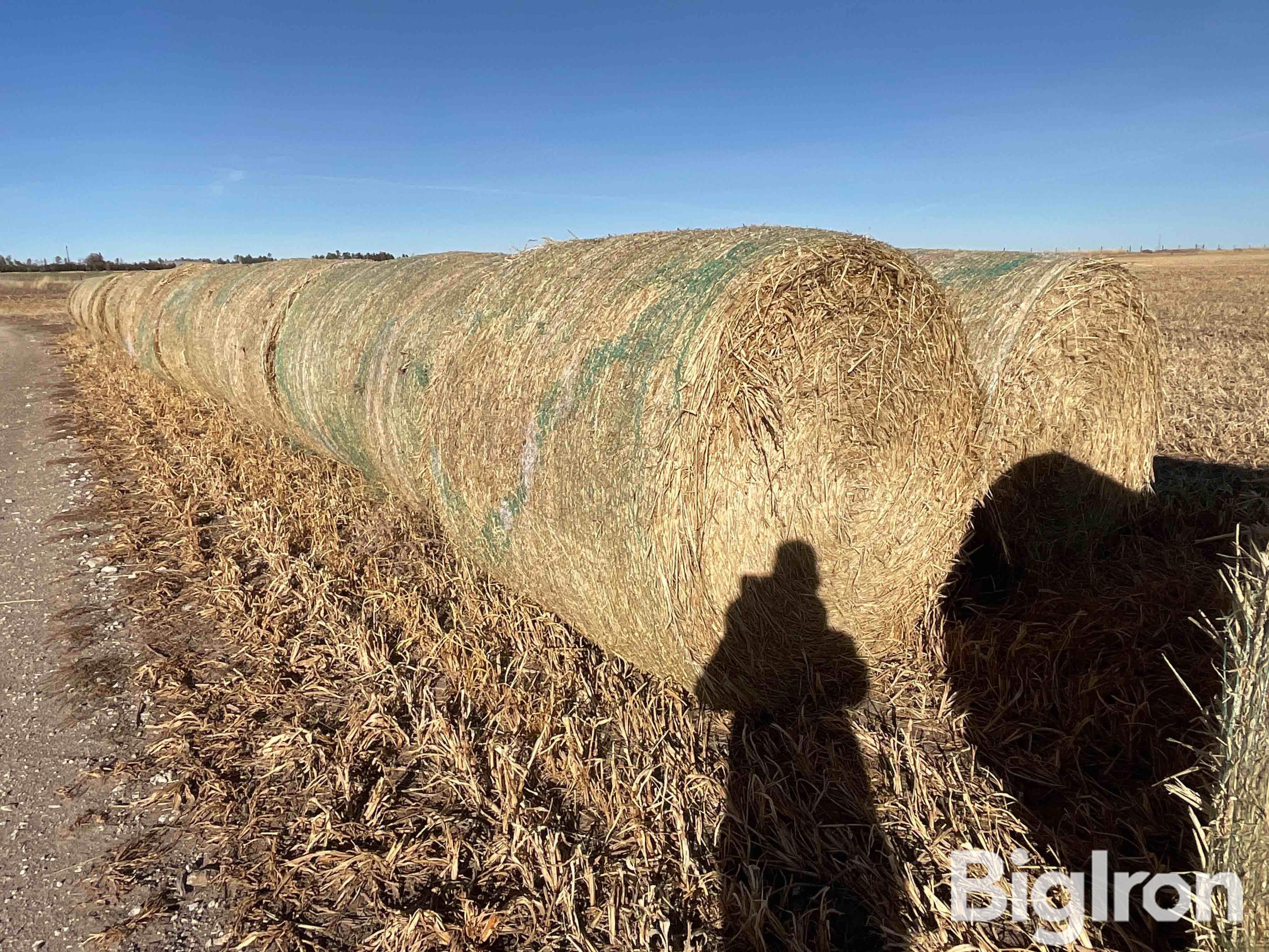 Millet (Forage) Hay Big Round Bales BigIron Auctions