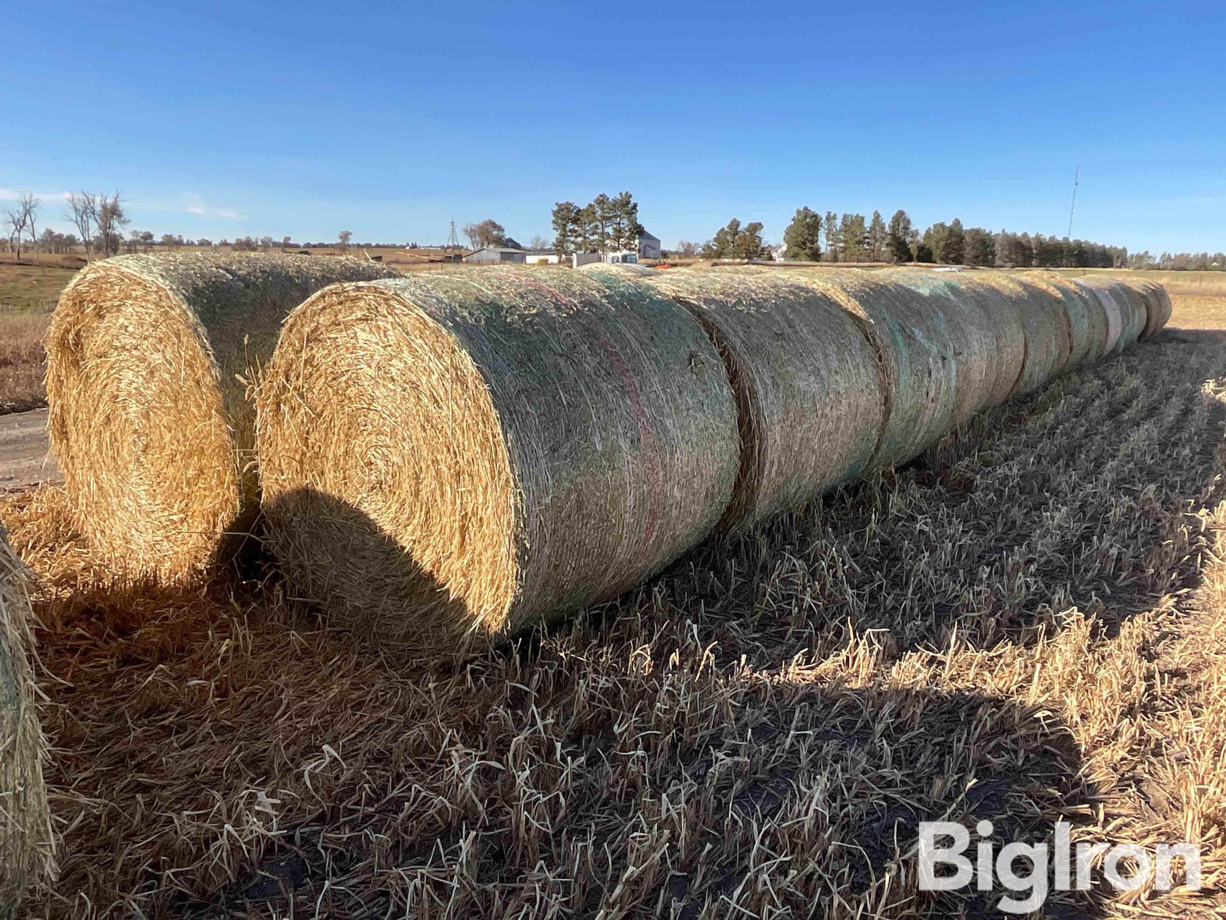 Millet (Forage) Hay Big Round Bales BigIron Auctions