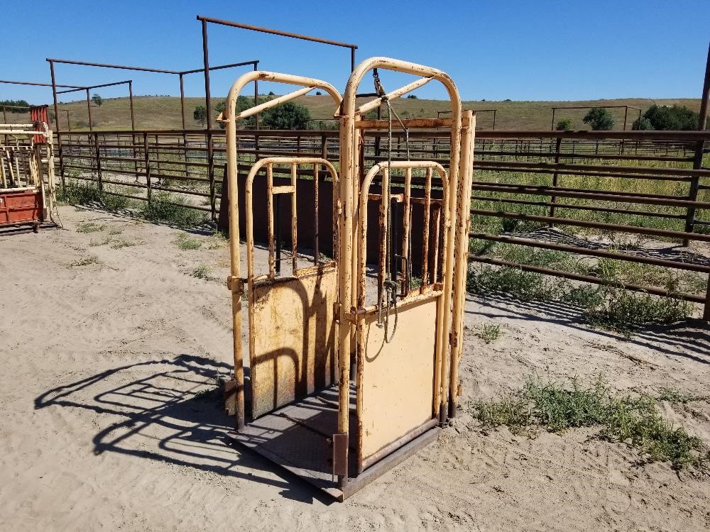 Livestock Palpation Cage BigIron Auctions