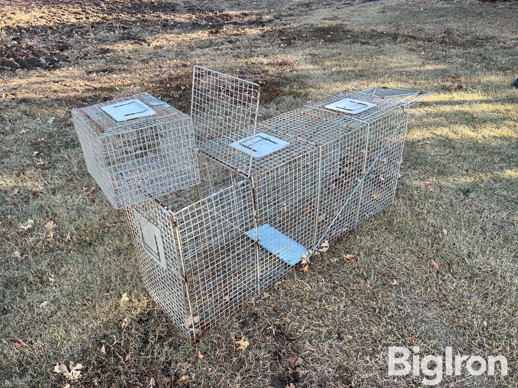 Large Live Animal Trap Bigiron Auctions