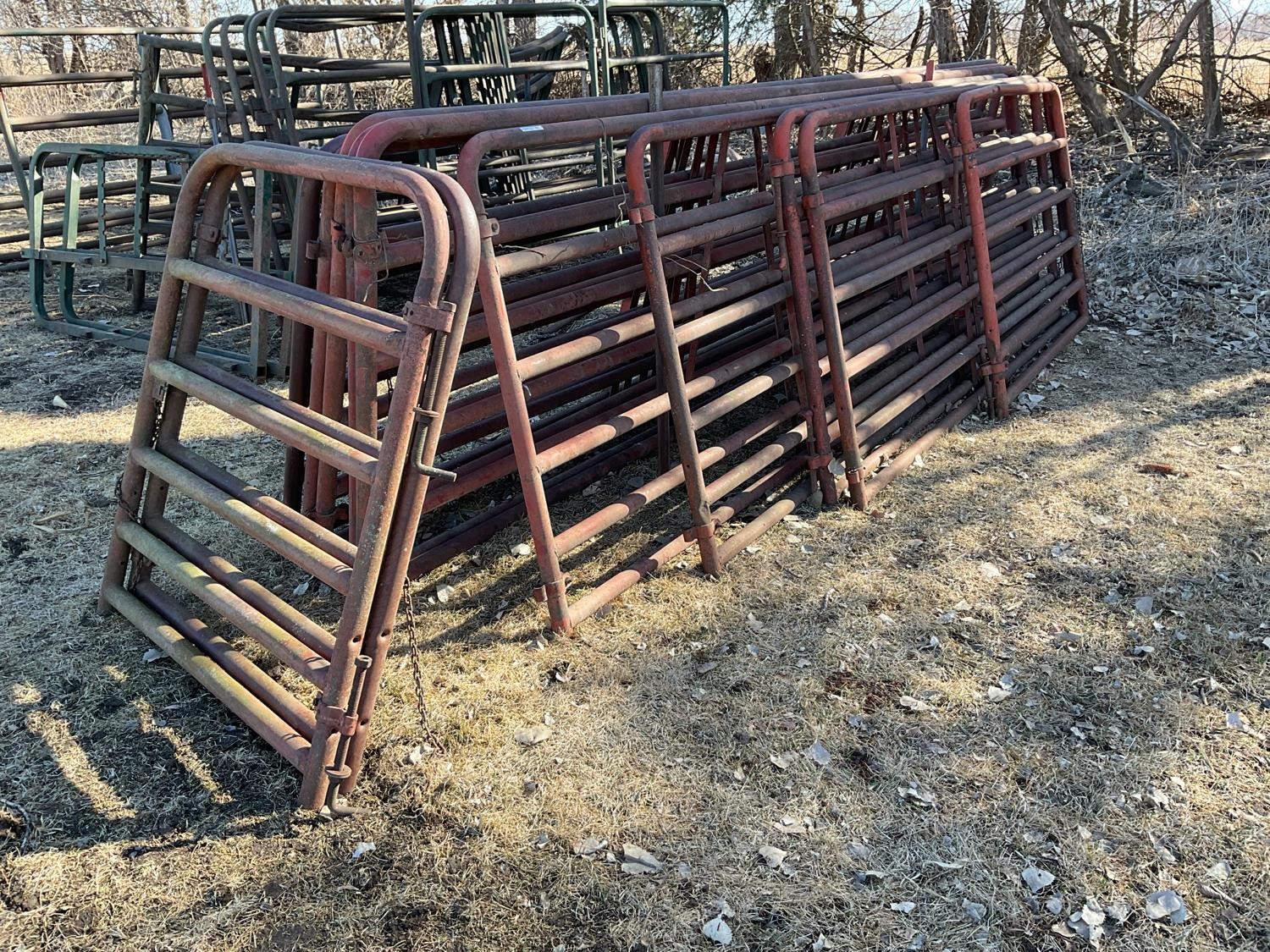 Farmaster Livestock Cattle Gates Bigiron Auctions