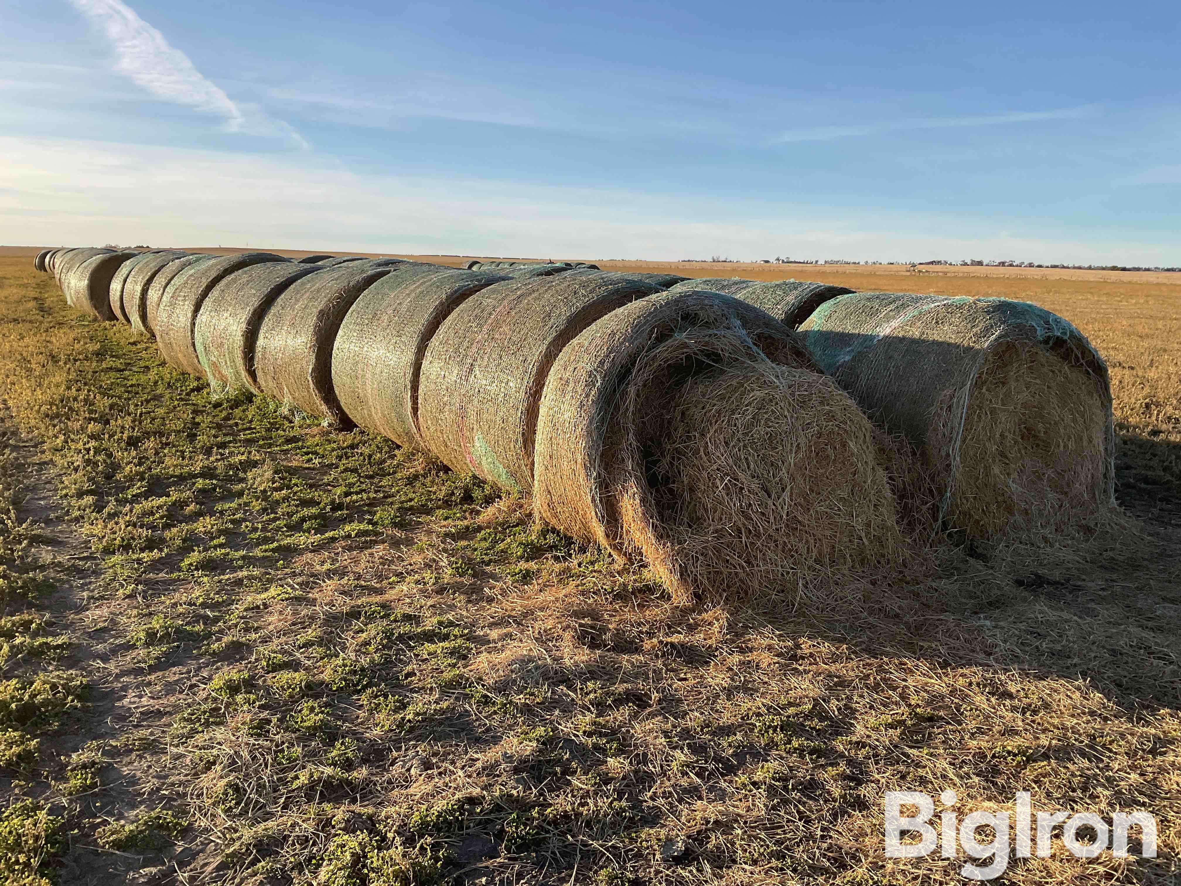 Alfalfa 2nd Cutting Hay Big Round Bales Bigiron Auctions