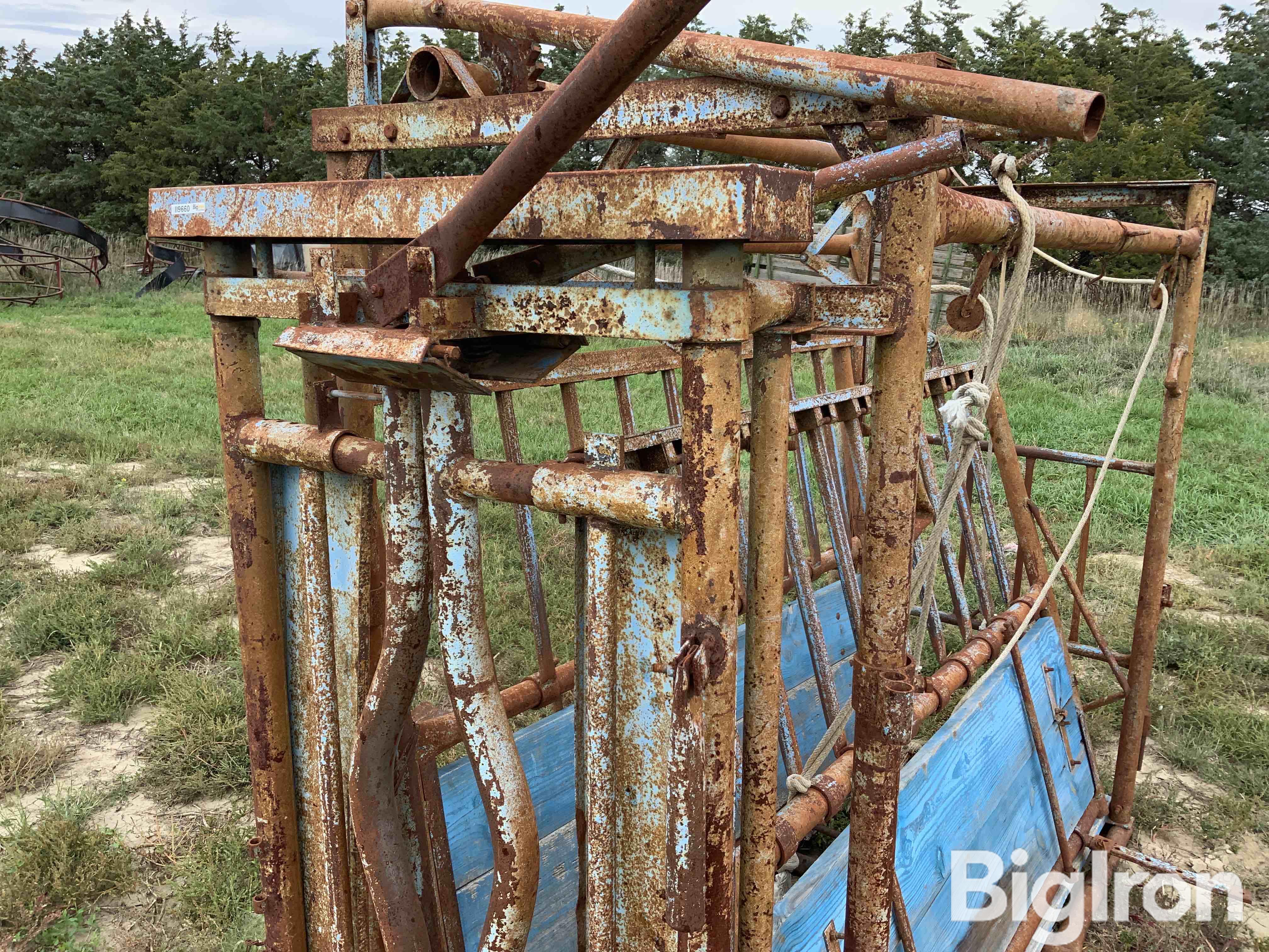 Cattle Chute BigIron Auctions