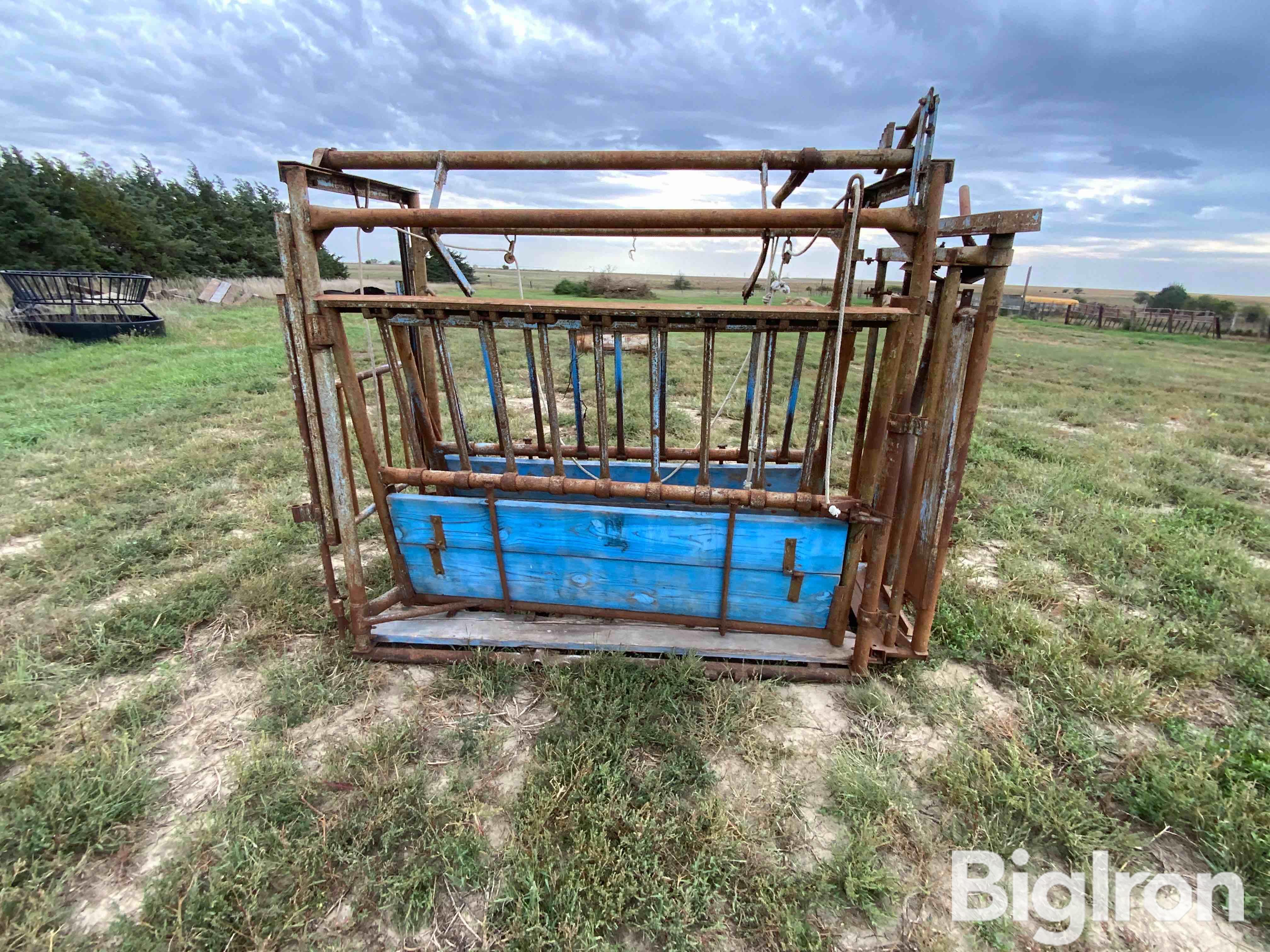 Cattle Chute BigIron Auctions