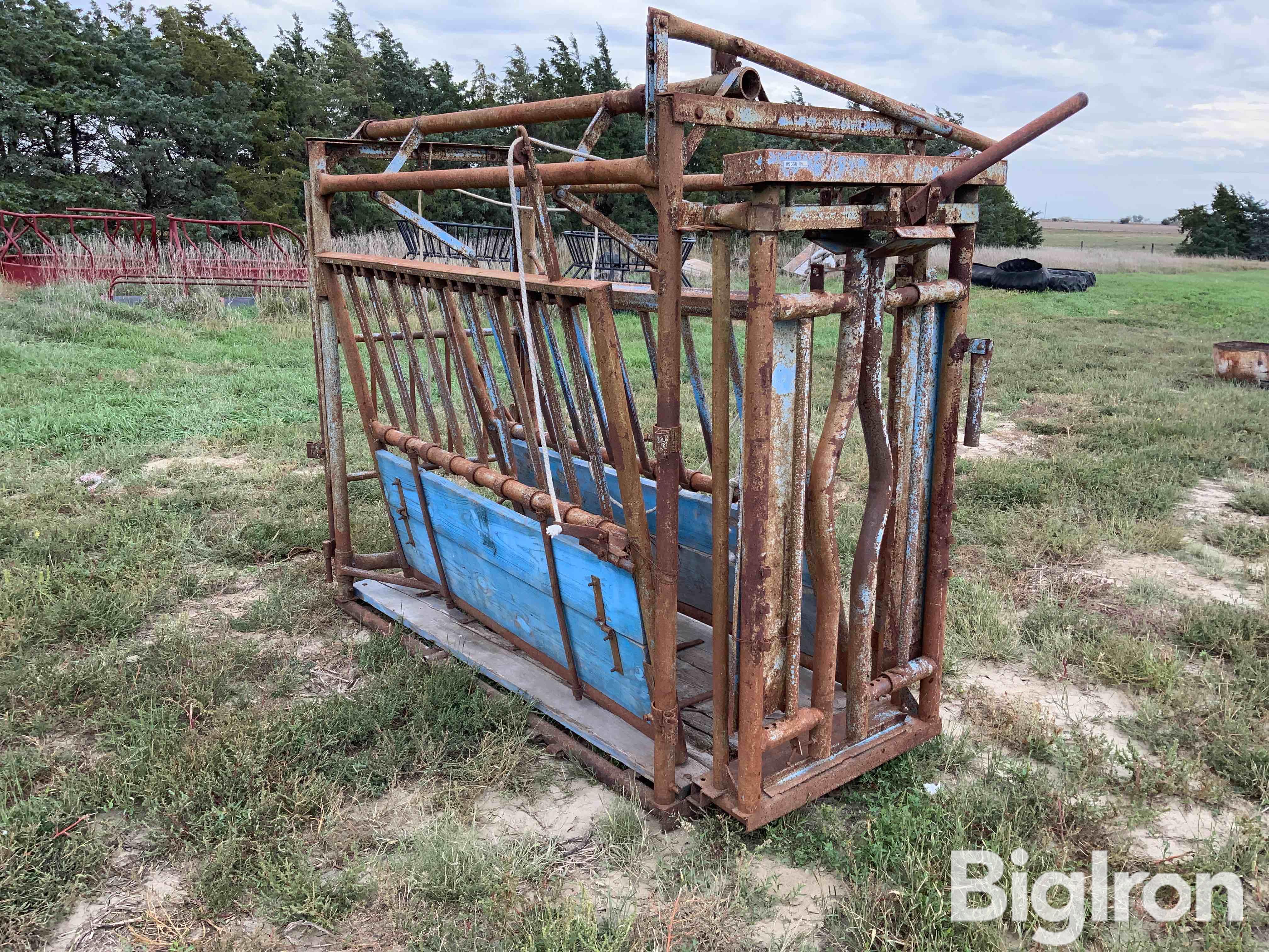 Cattle Chute BigIron Auctions