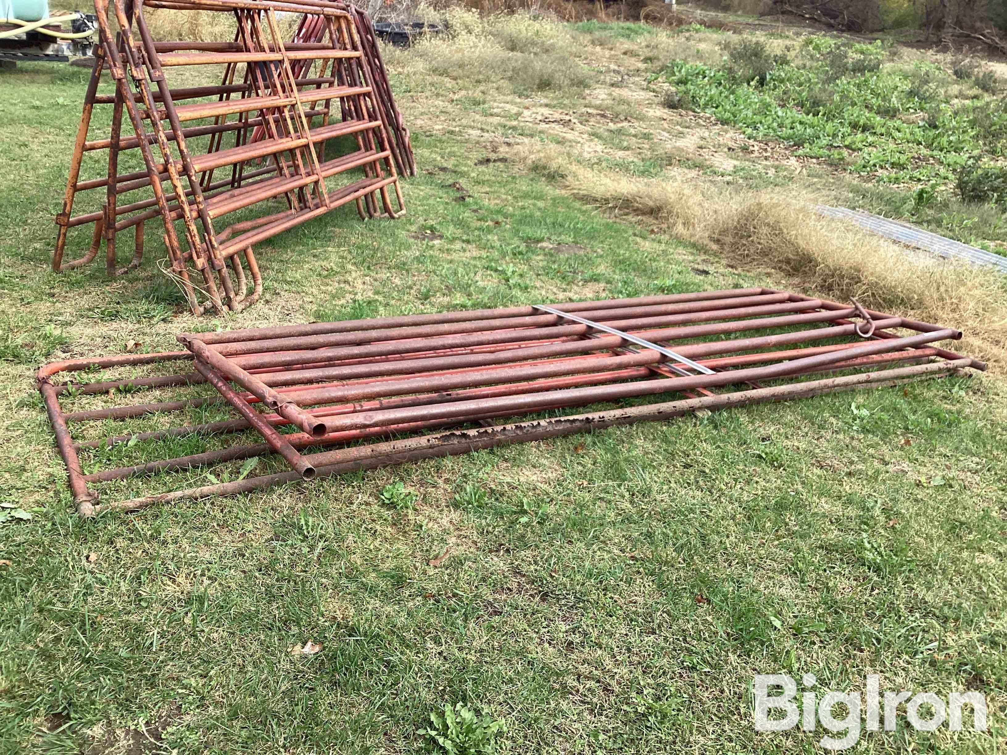 12’ & 14’ Cattle Panels BigIron Auctions