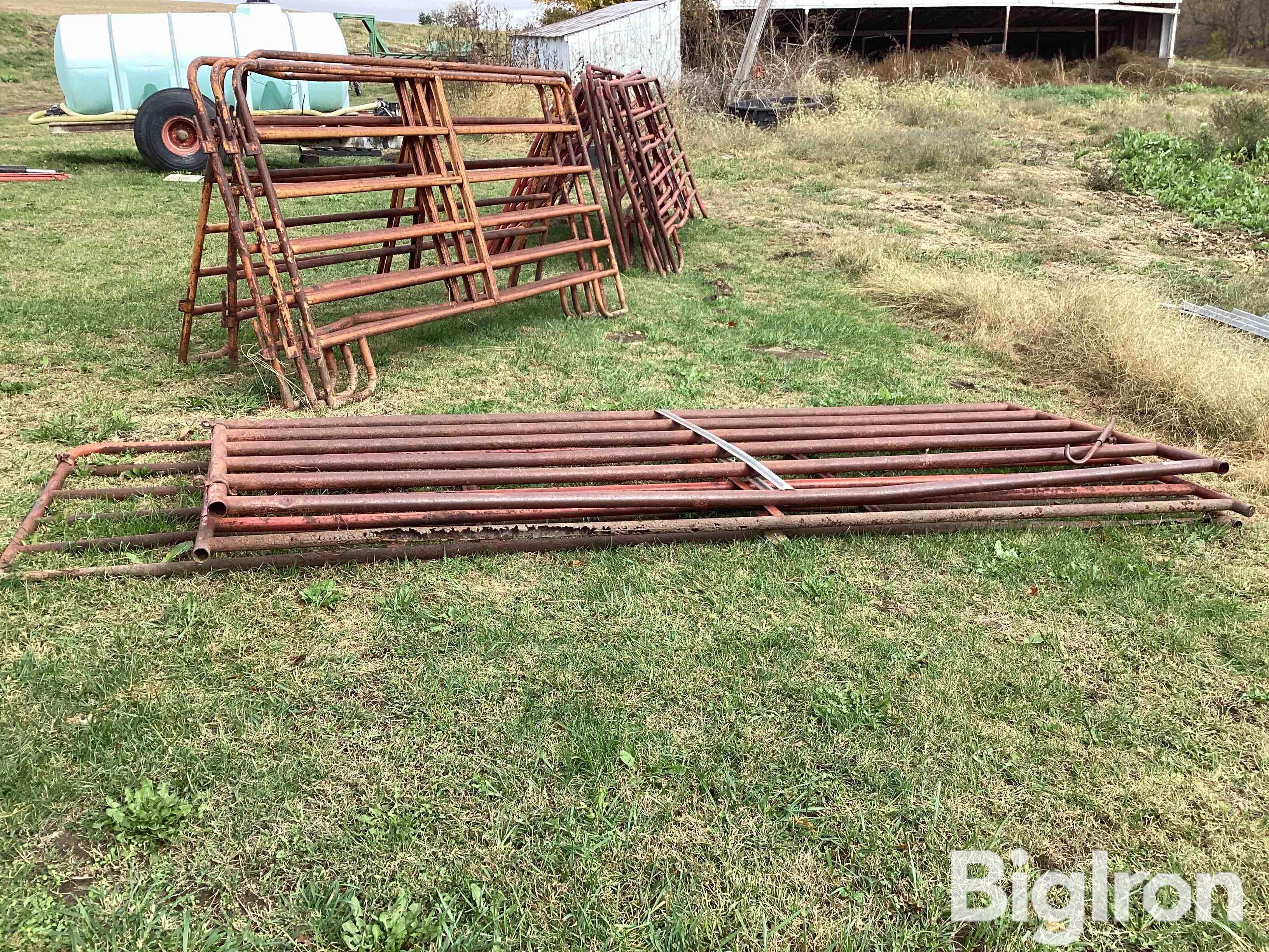 12’ & 14’ Cattle Panels BigIron Auctions