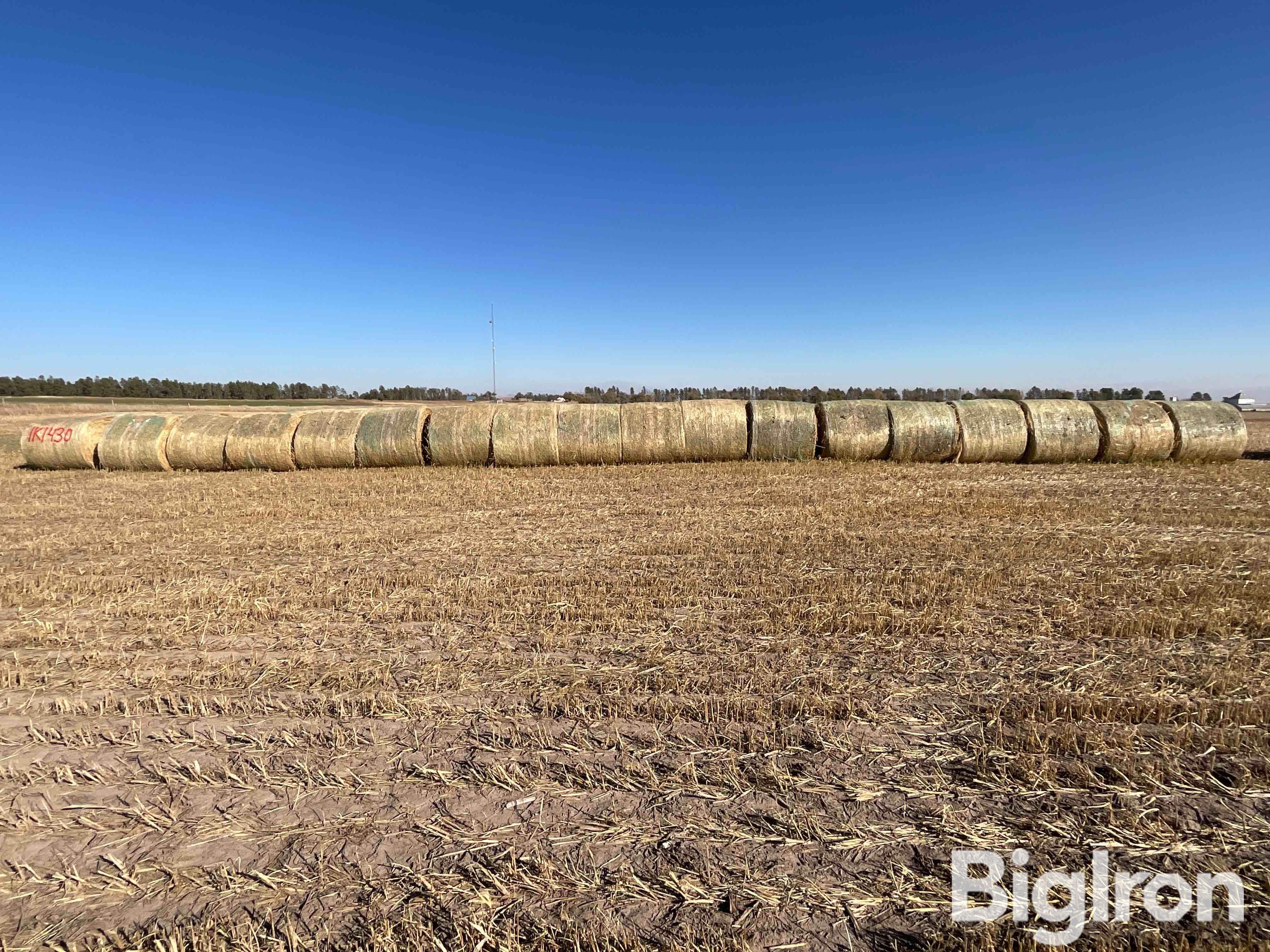 Millet (Forage) Hay Big Rounds BigIron Auctions