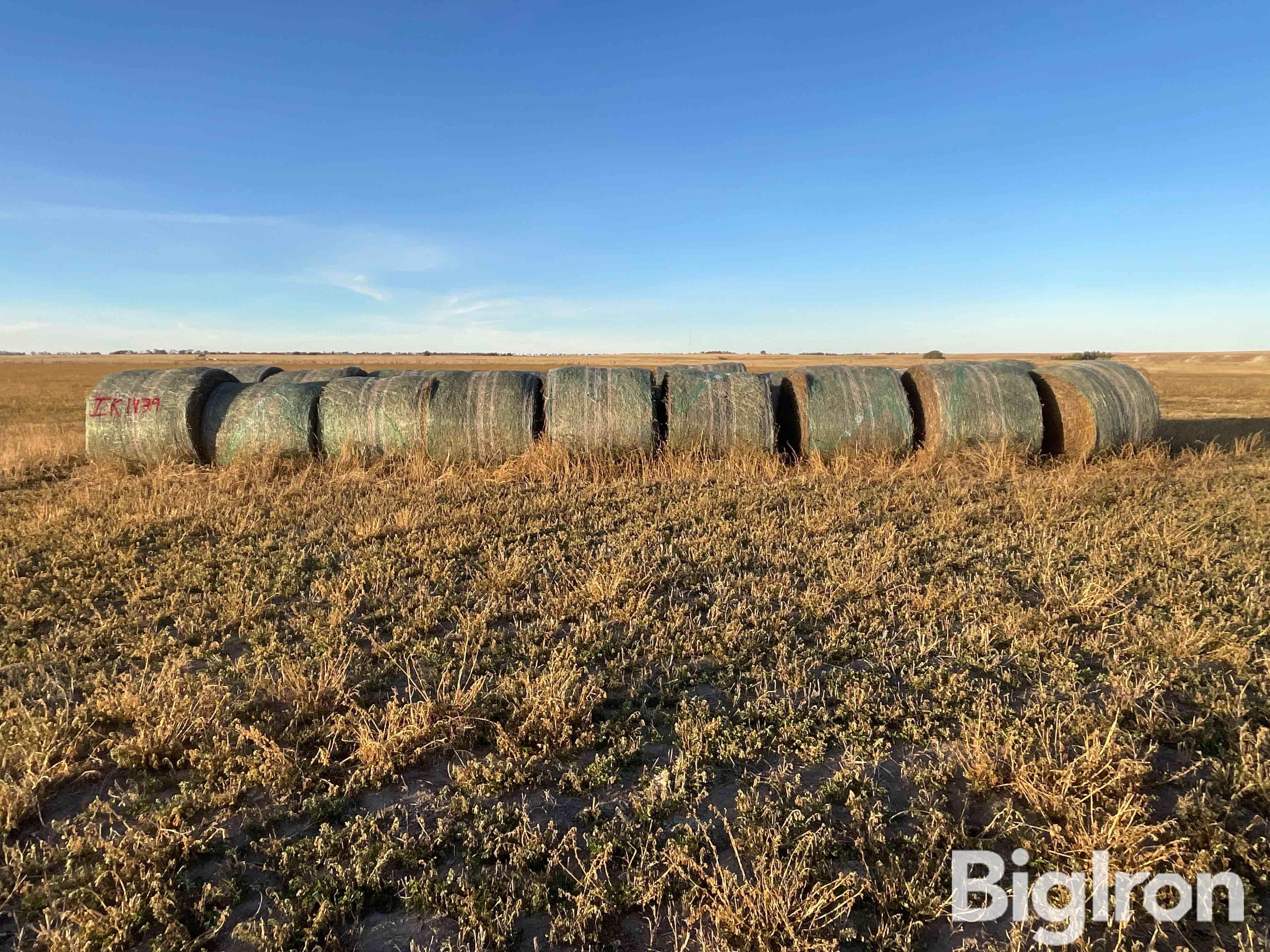 Alfalfa 1st Cutting Hay Big Round Bales BigIron Auctions