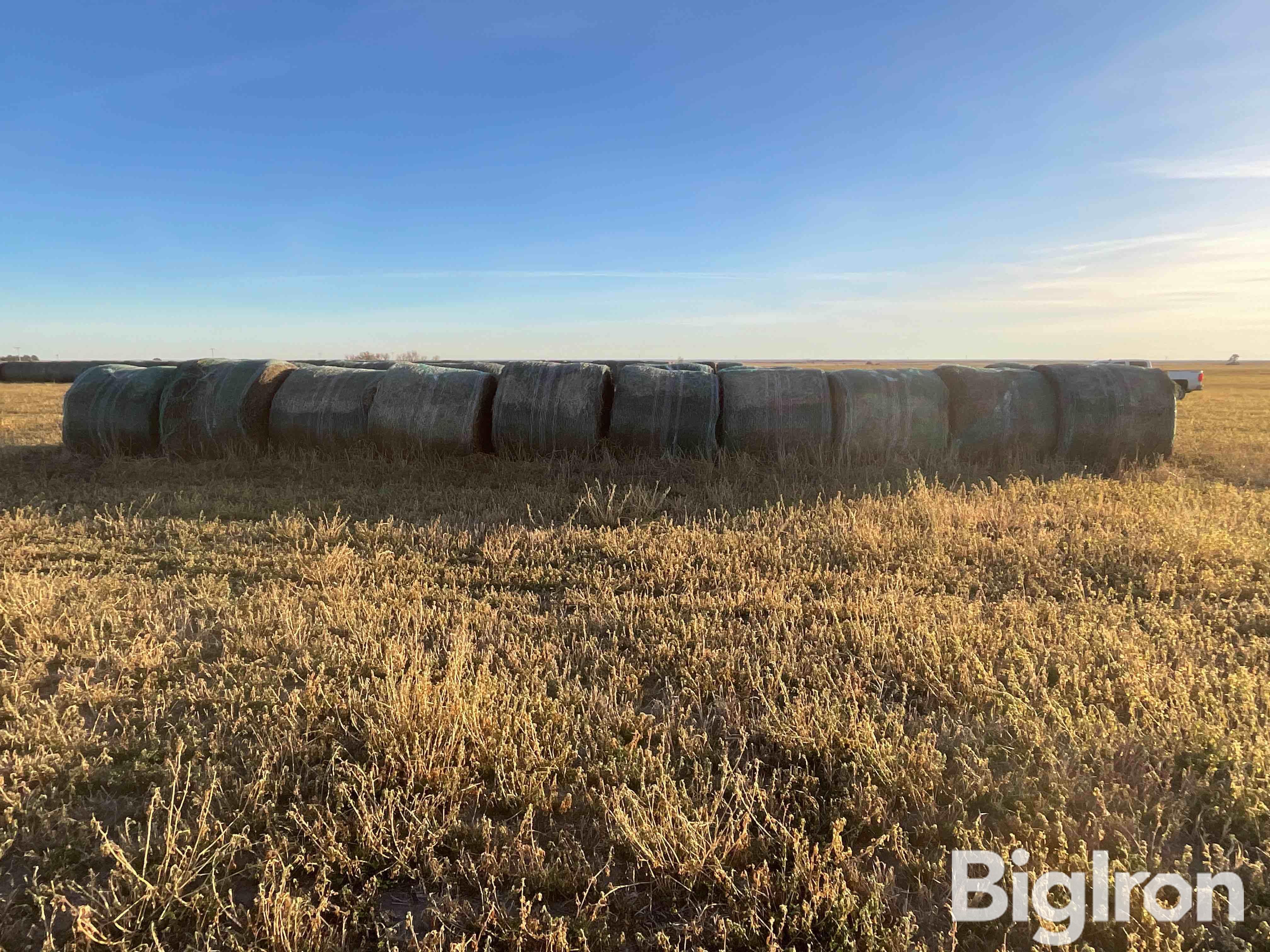 Alfalfa 1st Cutting Hay Big Round Bales BigIron Auctions