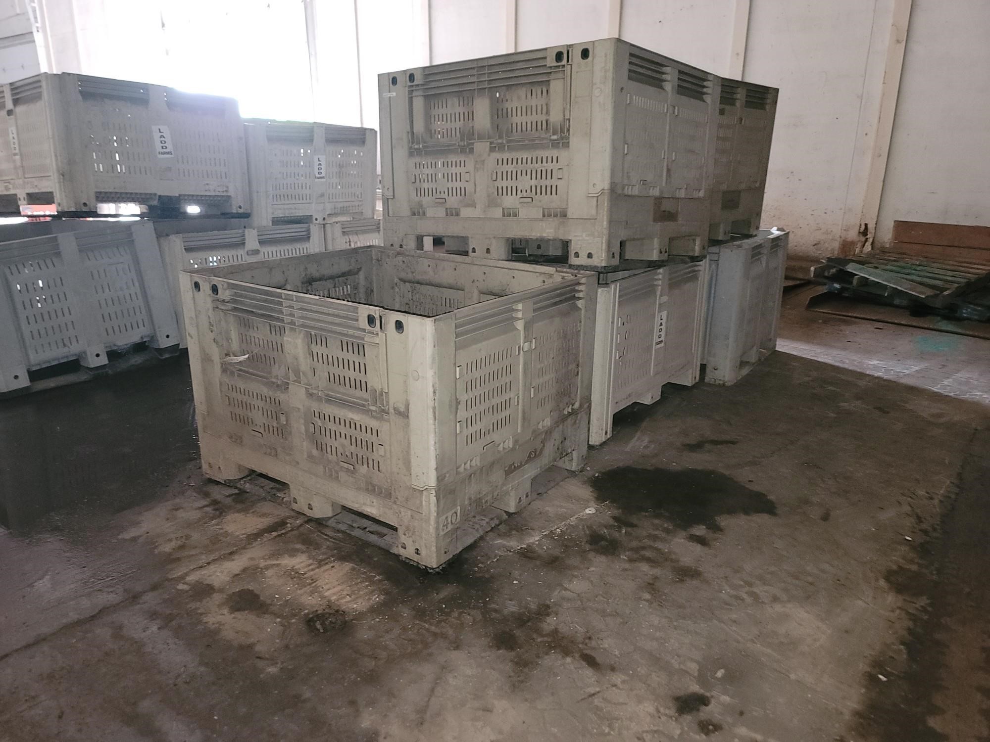 Plastic Vegetable Bins BigIron Auctions   Plasticvegetablebin 7 764b5d3796ab4ff8885e066bc4311d05 