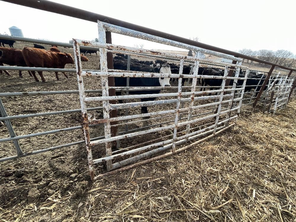 Livestock Gates/Panels BigIron Auctions