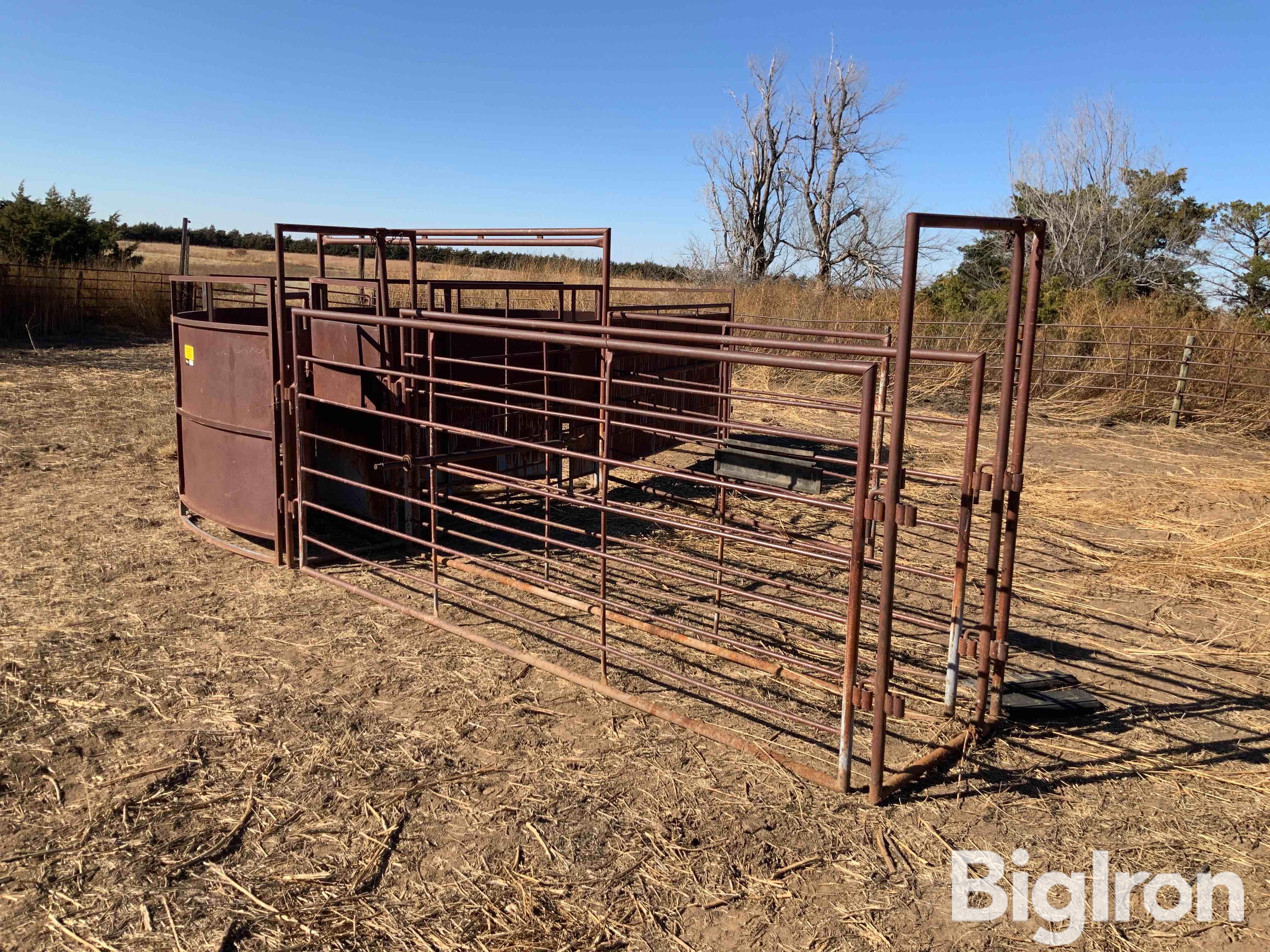 Livestock Working Tub & Loading Alley BigIron Auctions