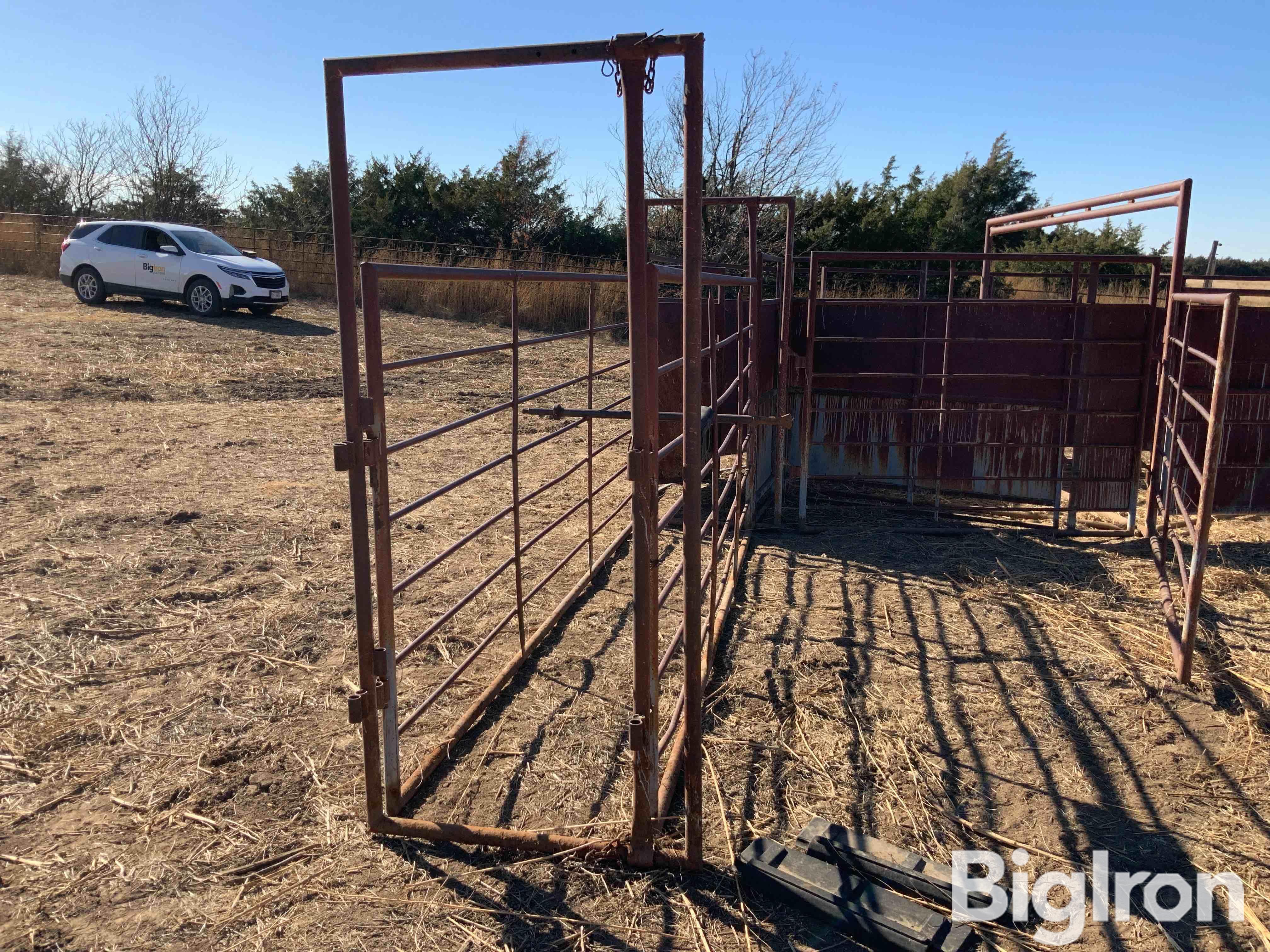 Livestock Working Tub & Loading Alley BigIron Auctions