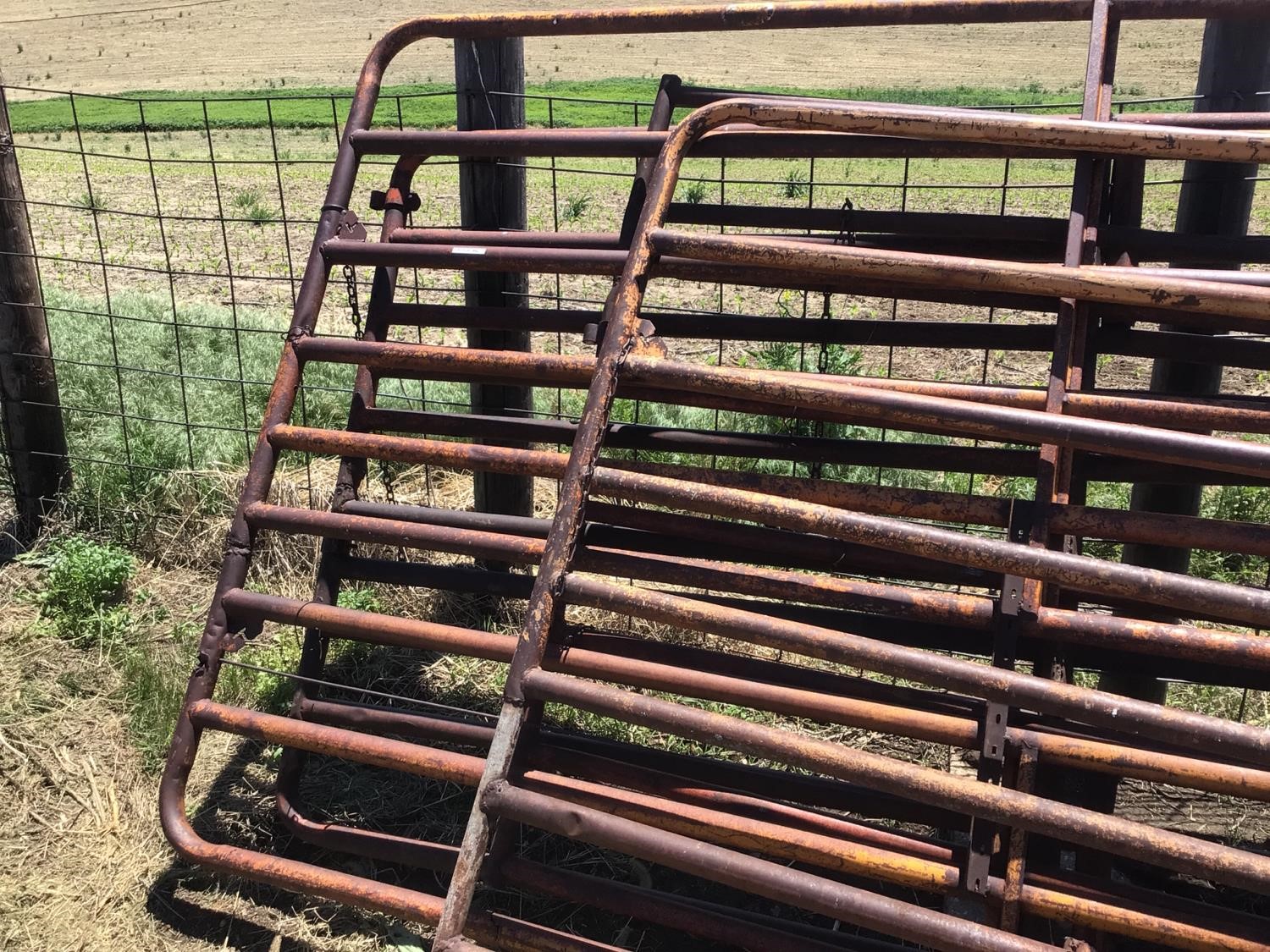 Livestock Gates BigIron Auctions