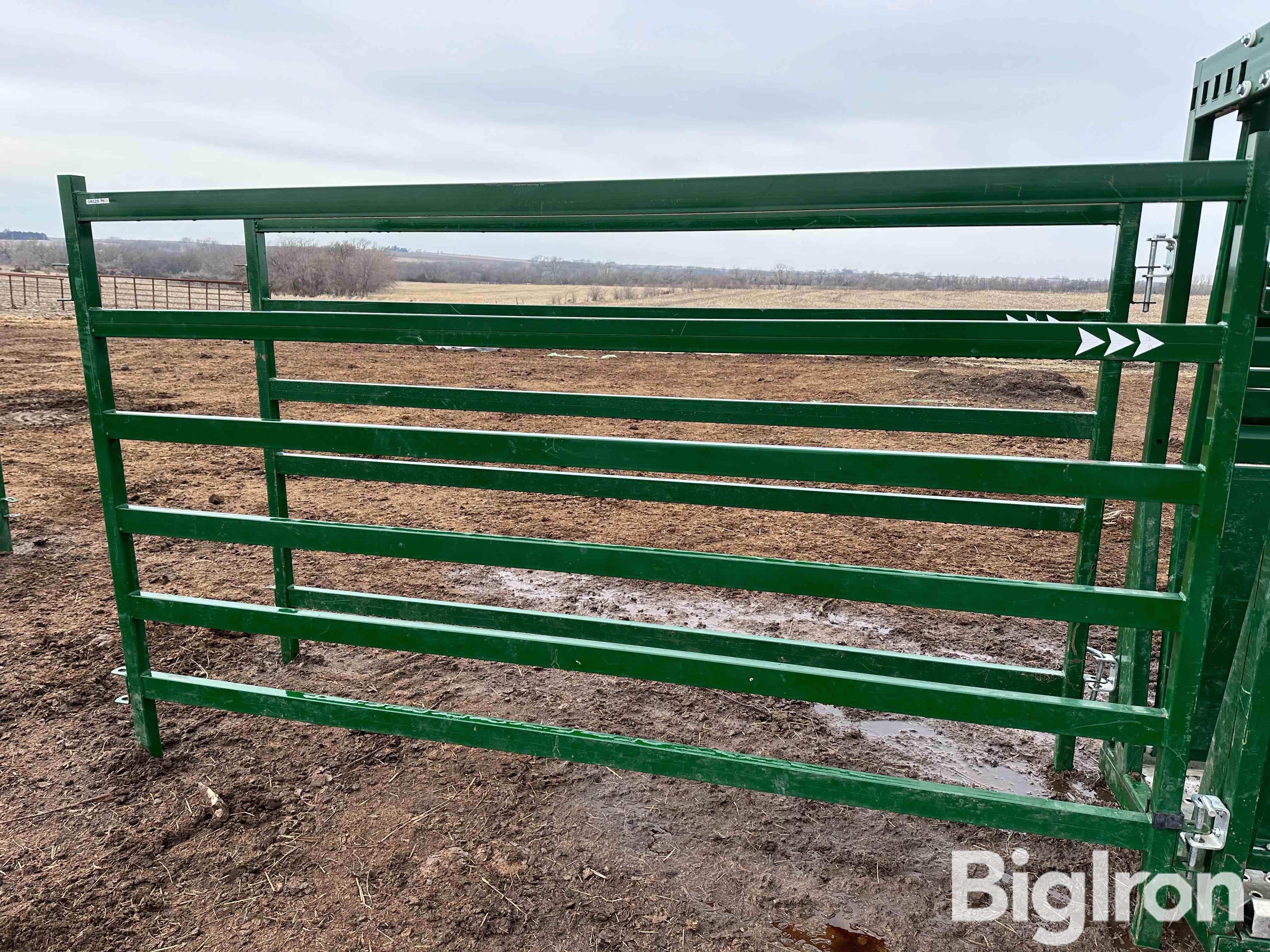 Arrowquip Elite PA10 Cattle Panels BigIron Auctions