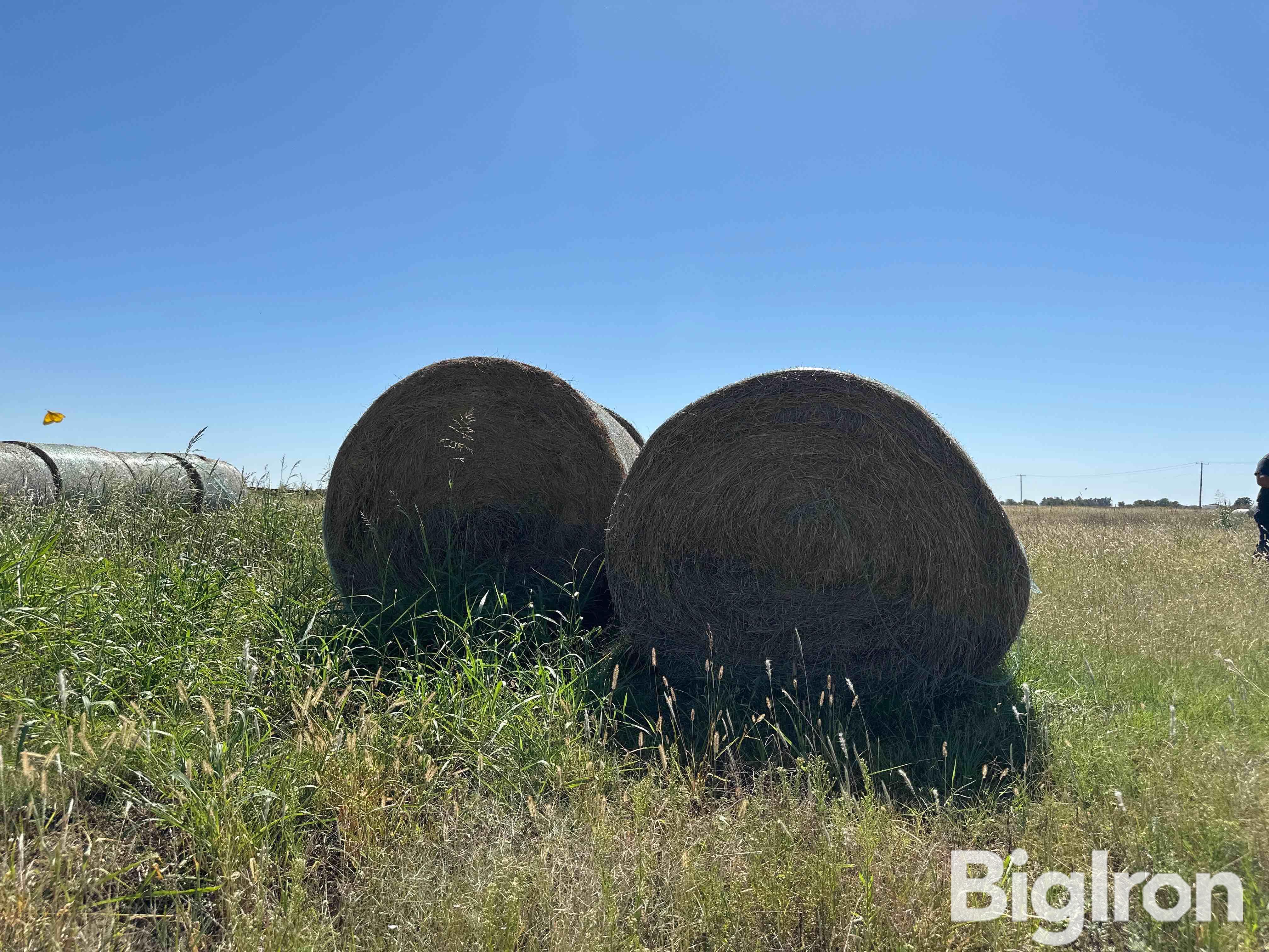 Prairie Hay BigIron Auctions