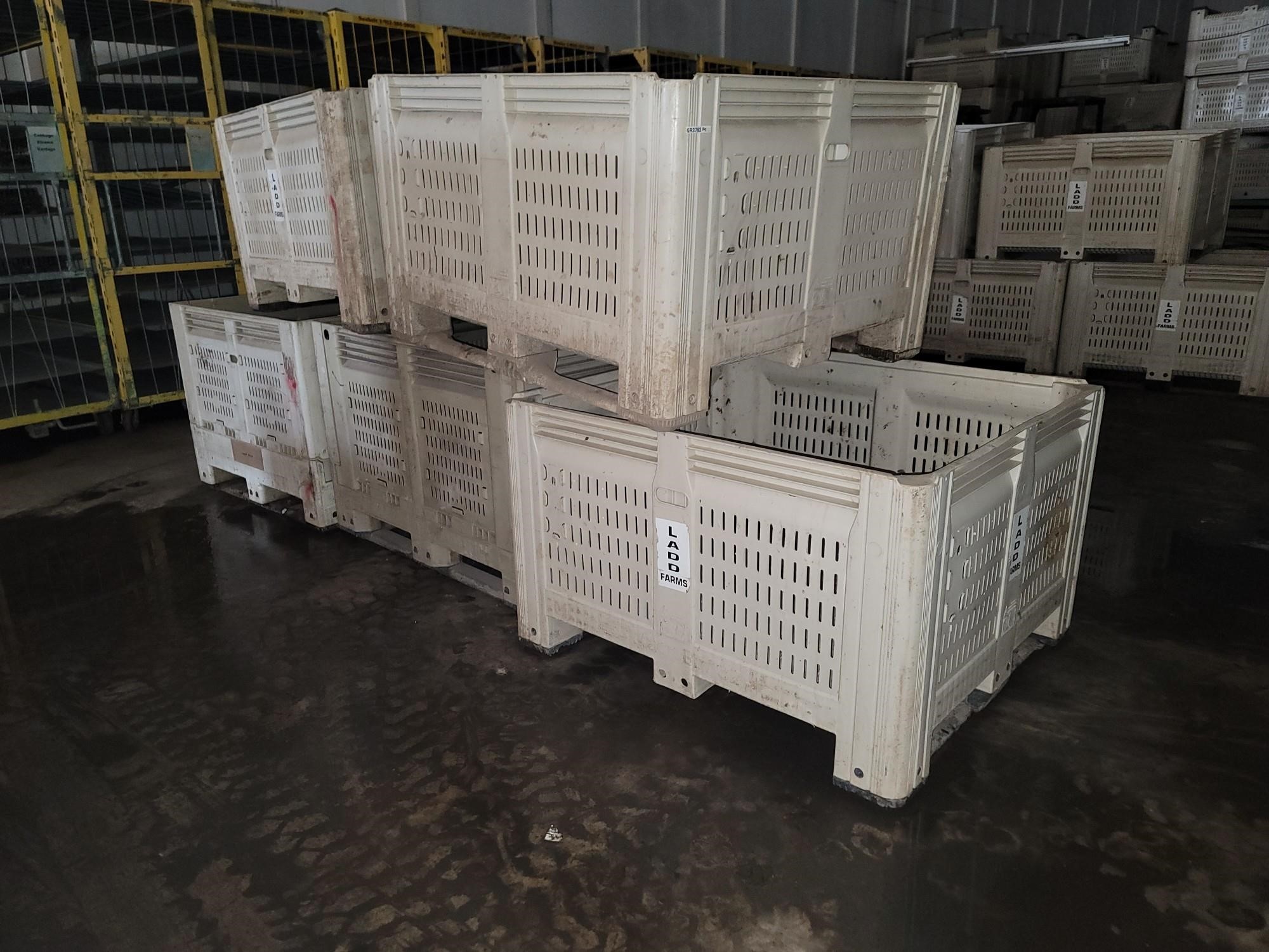 Plastic Vegetable Bins BigIron Auctions   Plasticvegetablebin 3 72bcbb57e9524a17949fe46b70c18e61 