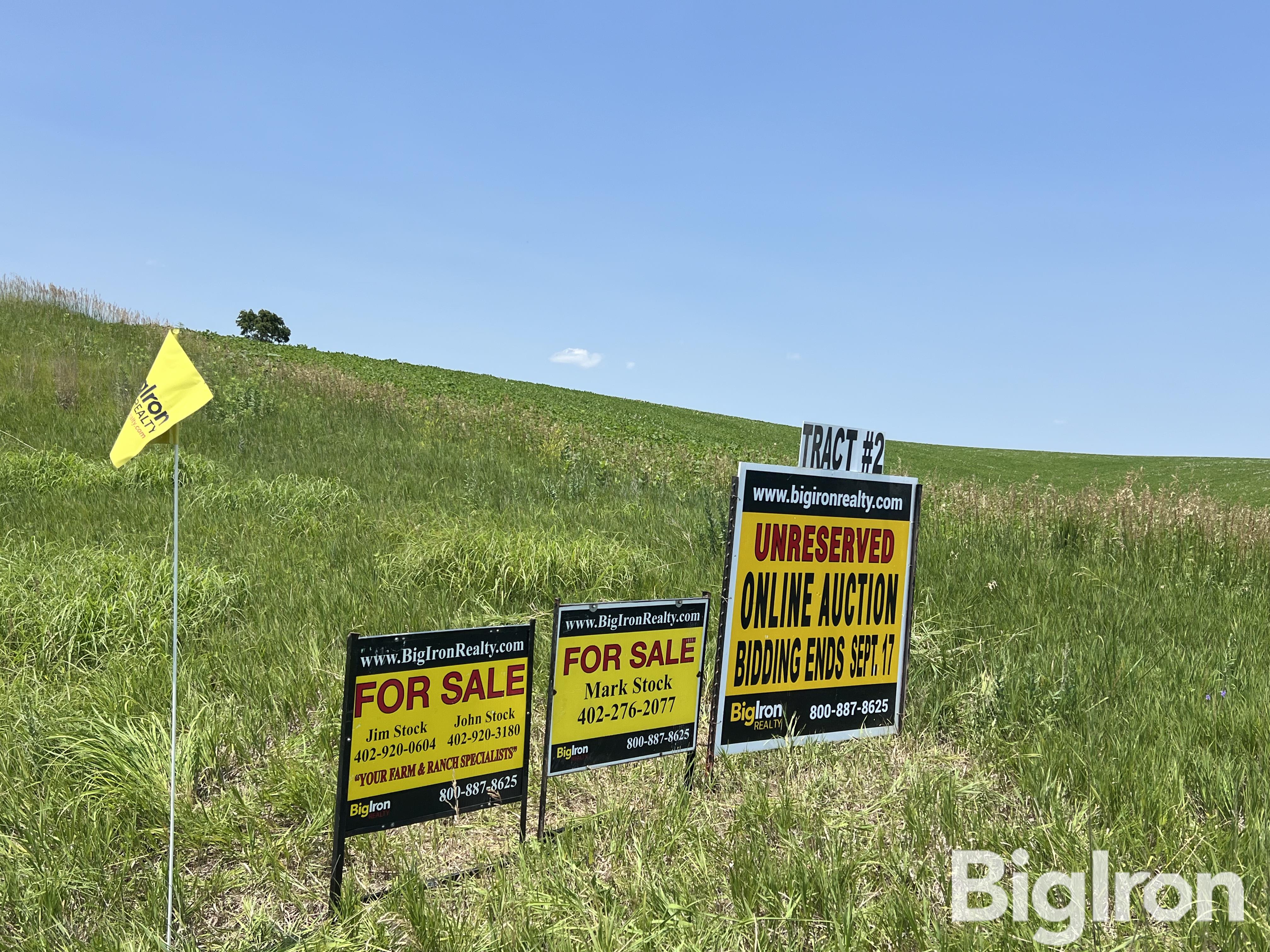 Tract 2 151.82+/ Acres Combination Ground in Nance County, NE BigIron