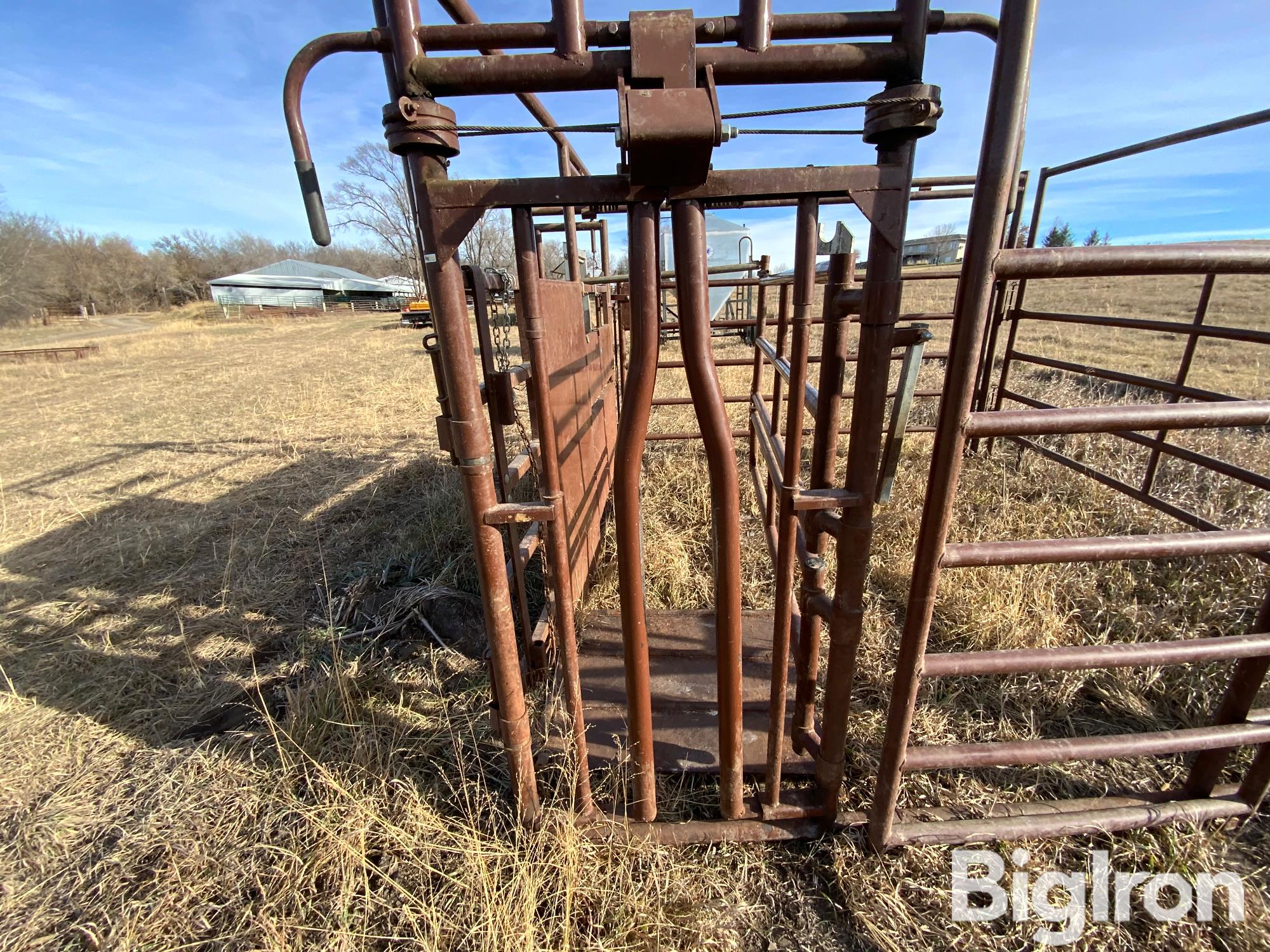 HiQual Calving Pen BigIron Auctions