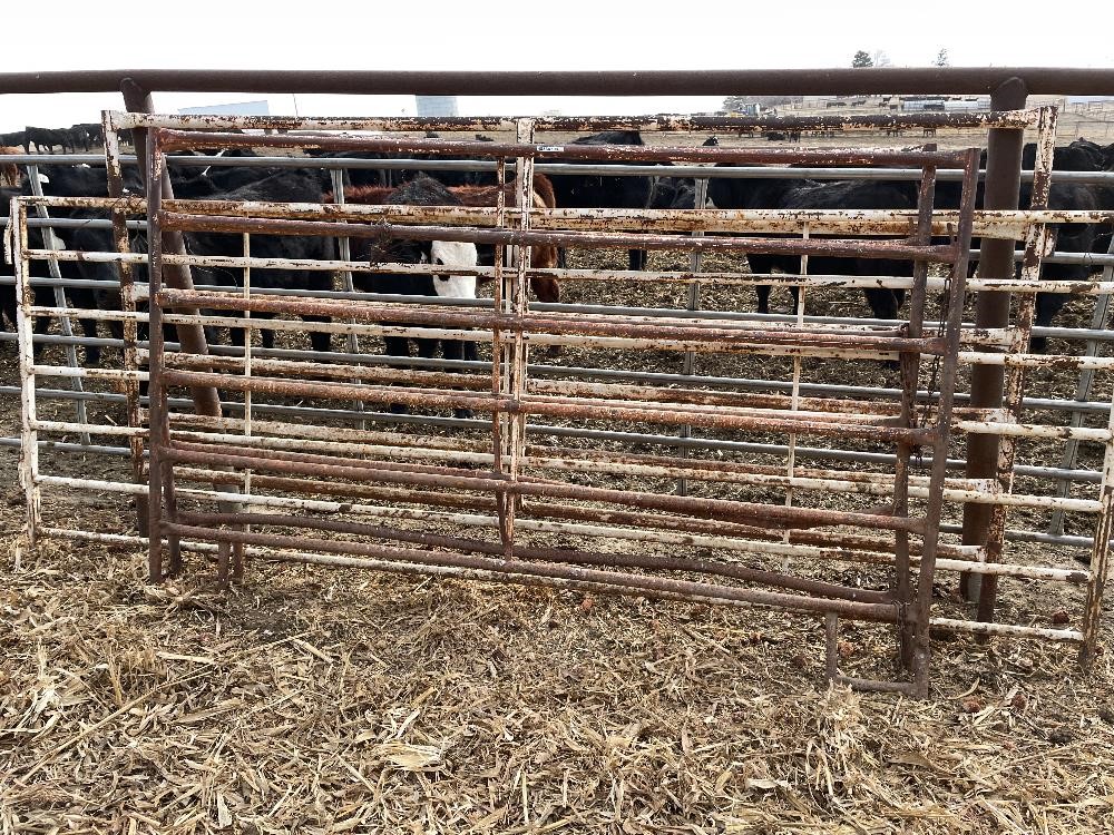 12' Livestock Gates/Panels BigIron Auctions