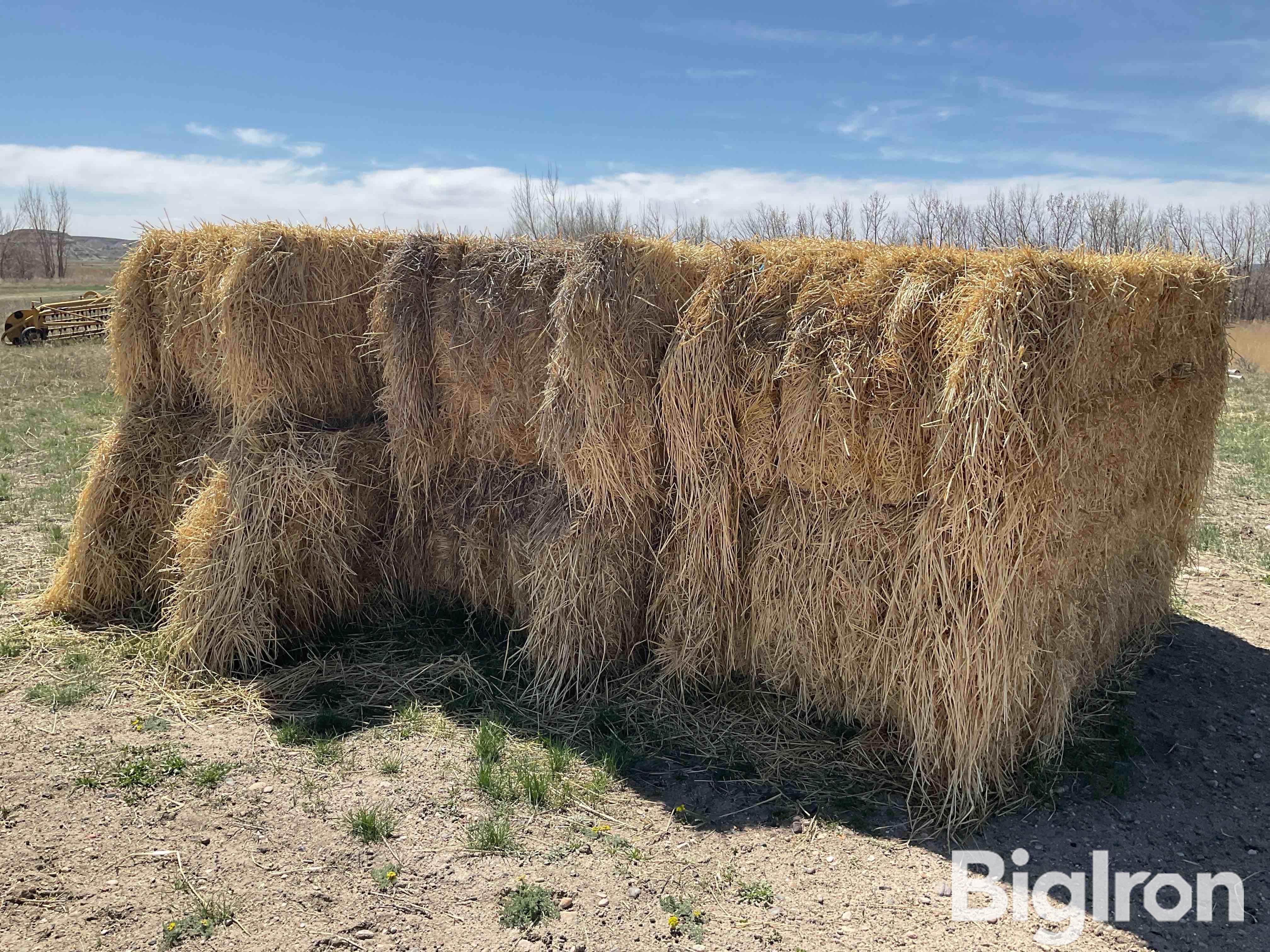 3x4 Straw Bales BigIron Auctions