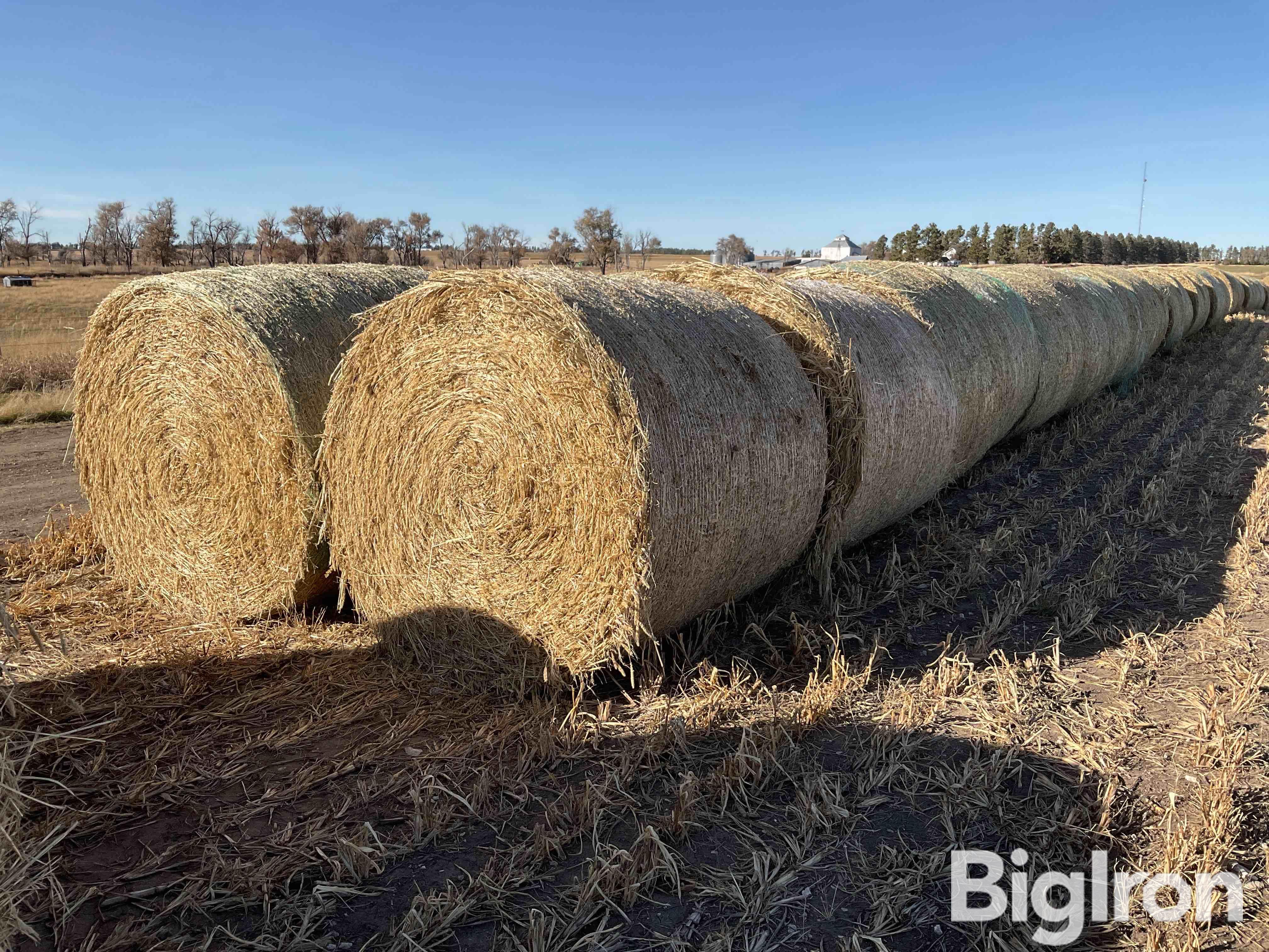 Millet (Forage) Hay Big Round Bales BigIron Auctions