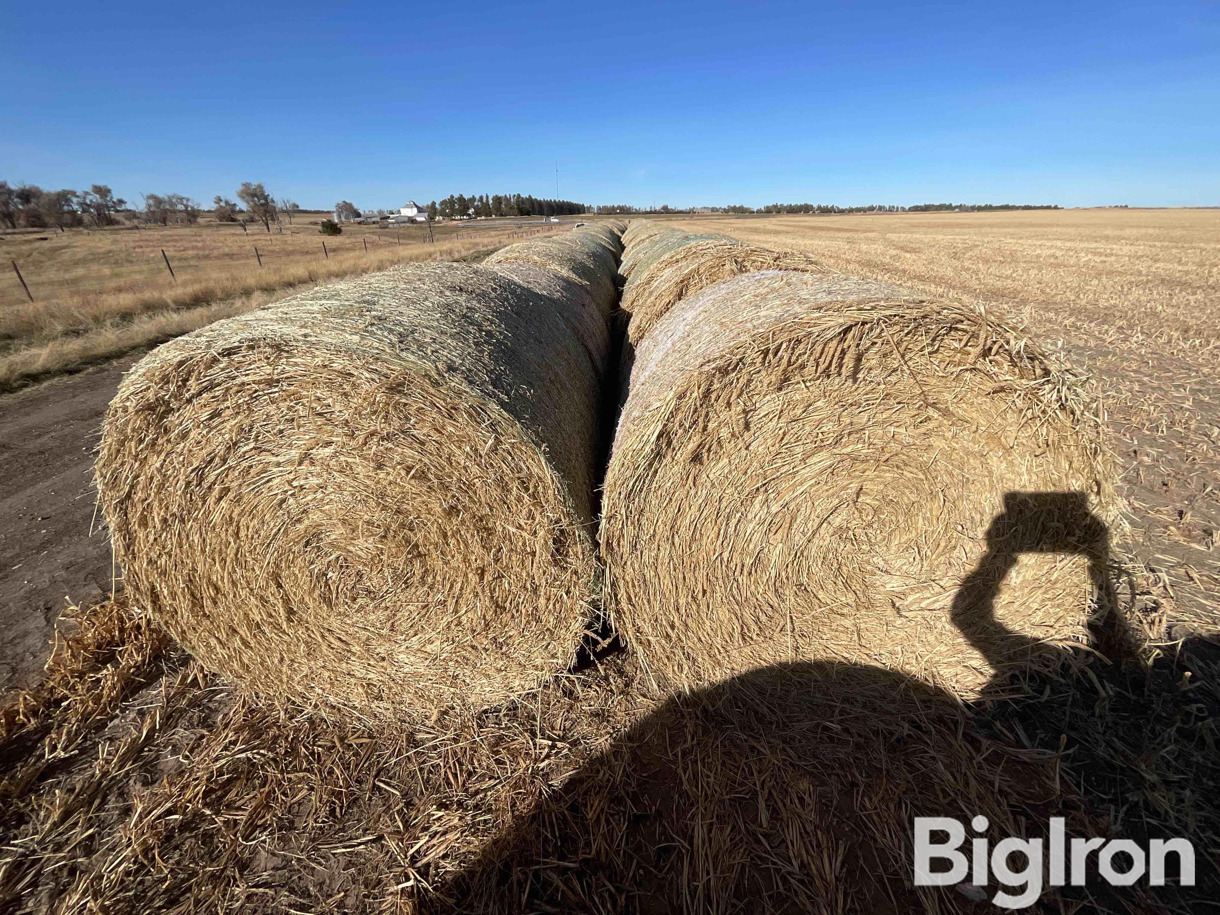 Millet (Forage) Hay Big Round Bales BigIron Auctions