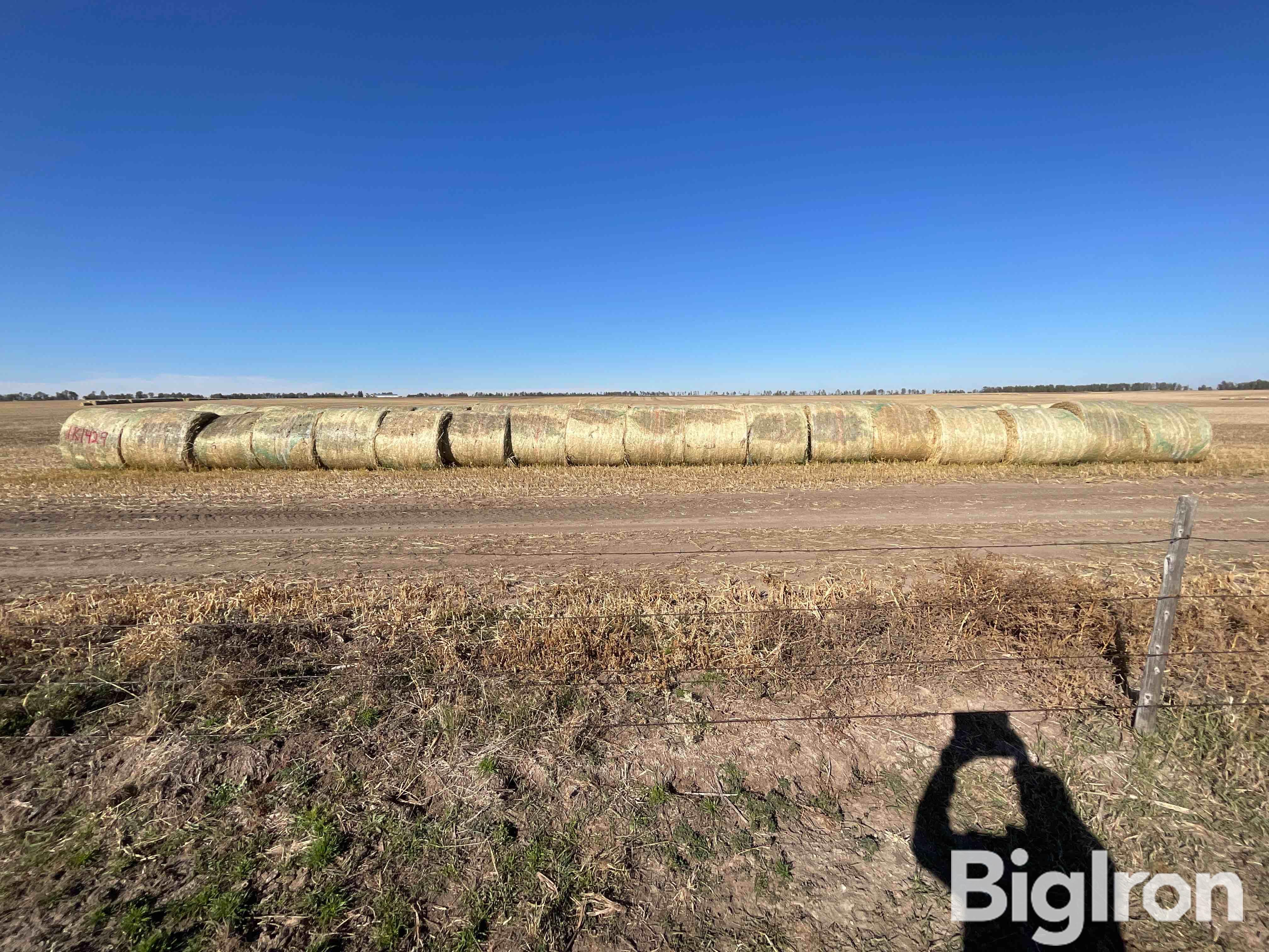 Millet (forage) Hay Big Rounds Bigiron Auctions