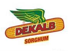 5 Bags Of Dekalb Seed 