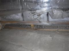 DSCF1136.JPG
