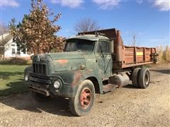 1951 International R195 Manure Spreader Truck 