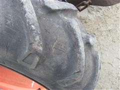 549.JPG