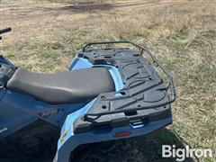 IMG_2646.jpeg