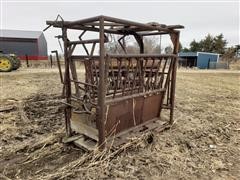 Cattle Squeeze/Head Chute 