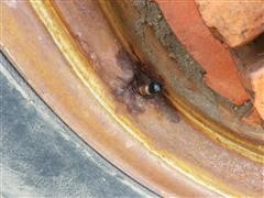 20180717_103929.jpg