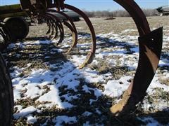 IMG_9167.JPG