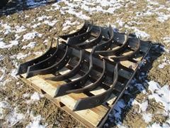 IMG_9170.JPG