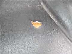 IMG_6350.JPG