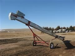 2003 Rayman Seed Conveyor 