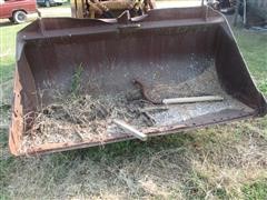 IMG_7782.JPG
