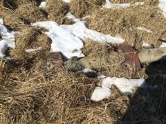 IMG_1200.JPG