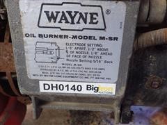 IMGP7470.JPG