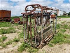 Pearson 1 Livestock Working Chute 