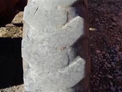 DSC05120.JPG